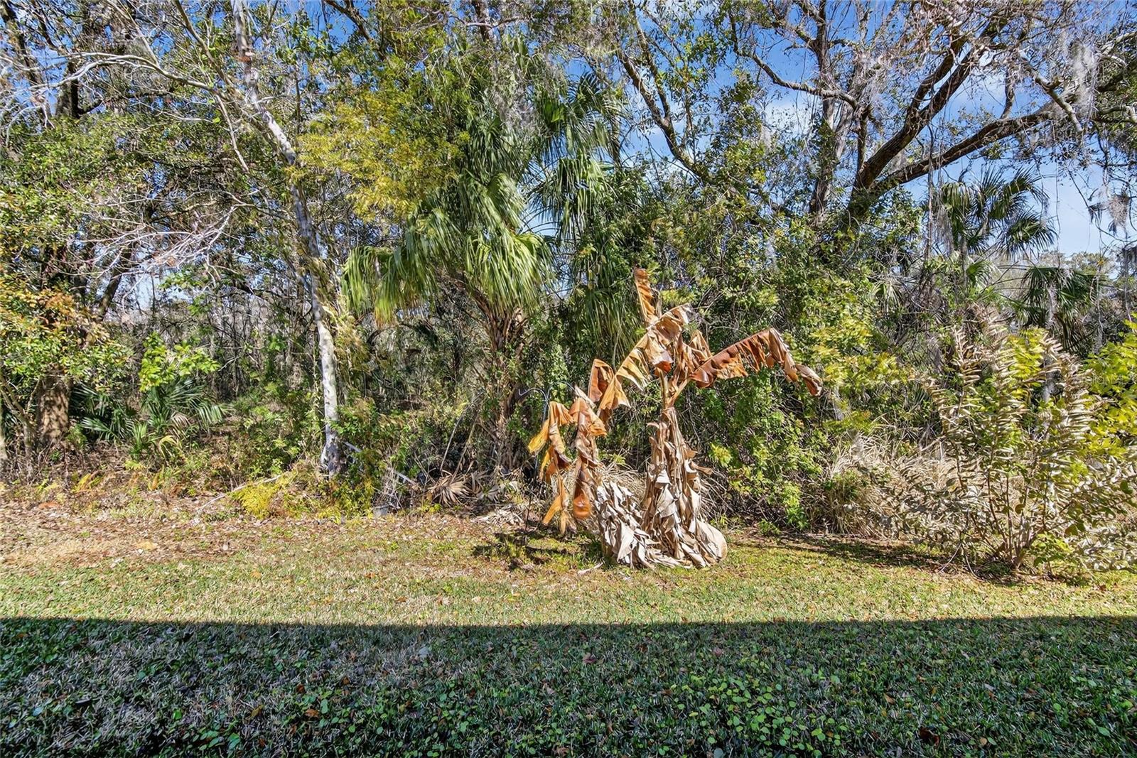 2819 HOLLY BLUFF CT — photo 37