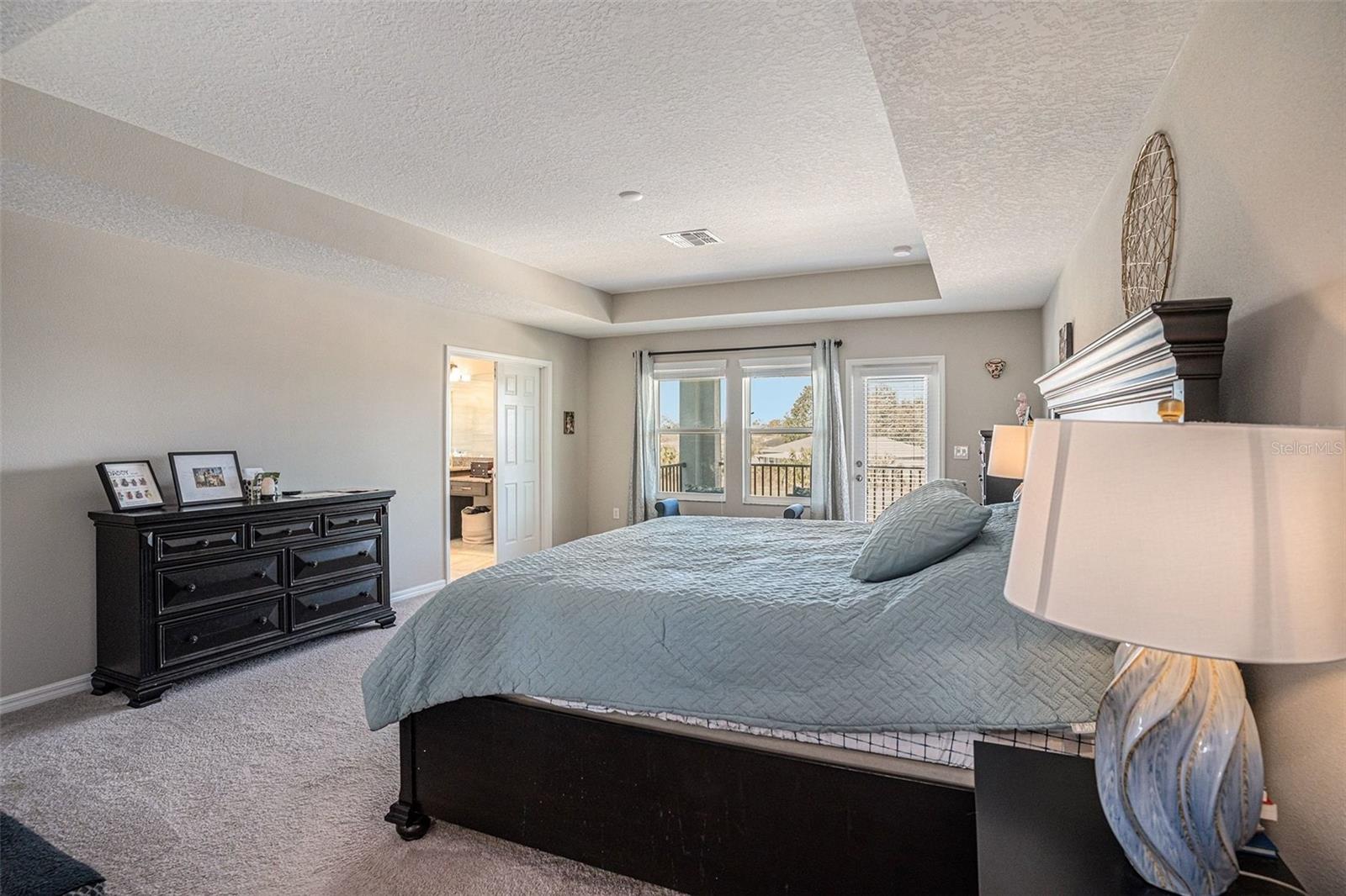 13362 SAGE HOLLOW AVE — photo 17