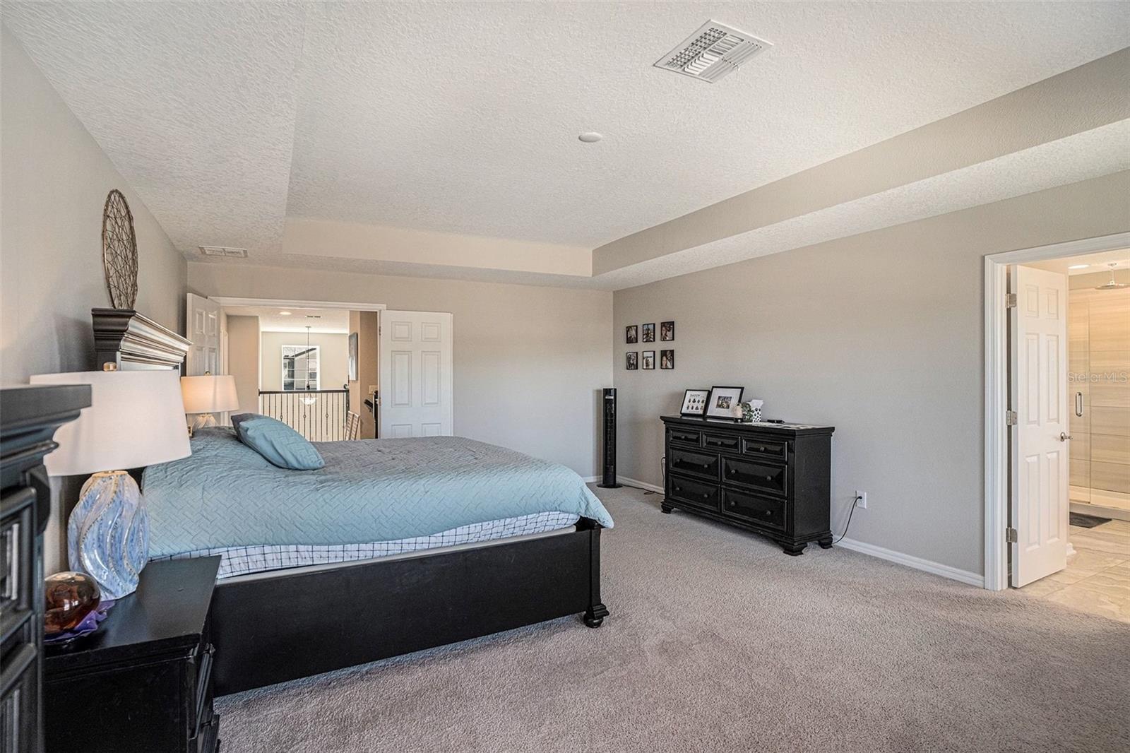 13362 SAGE HOLLOW AVE — photo 19