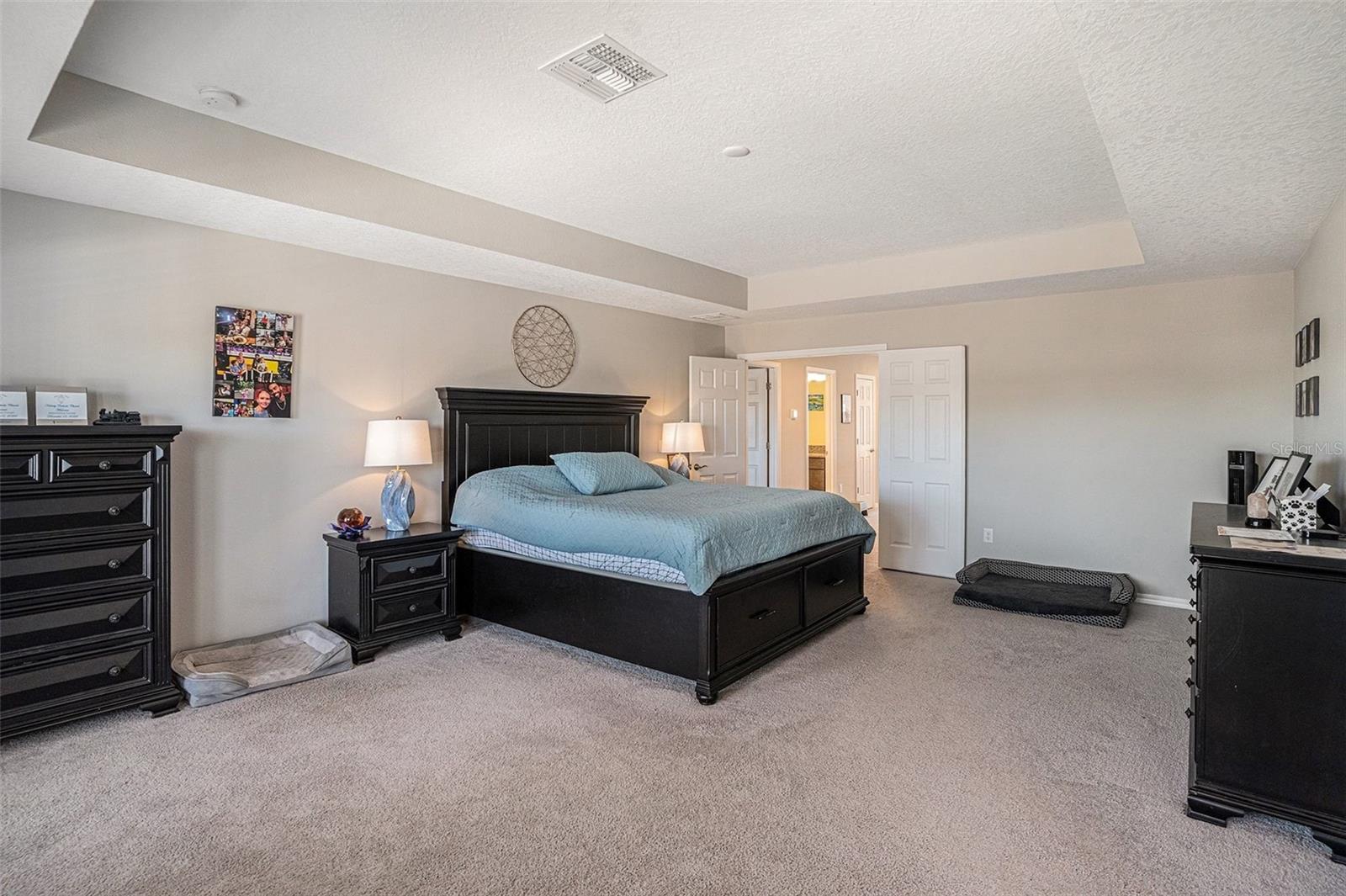 13362 SAGE HOLLOW AVE — photo 18