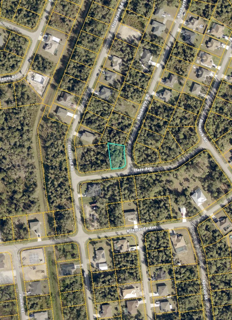 BLUEBERRY RD — photo 4