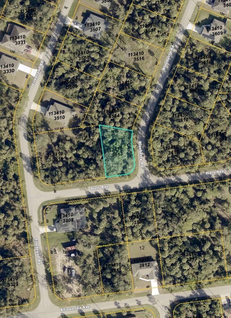 BLUEBERRY RD — photo 3