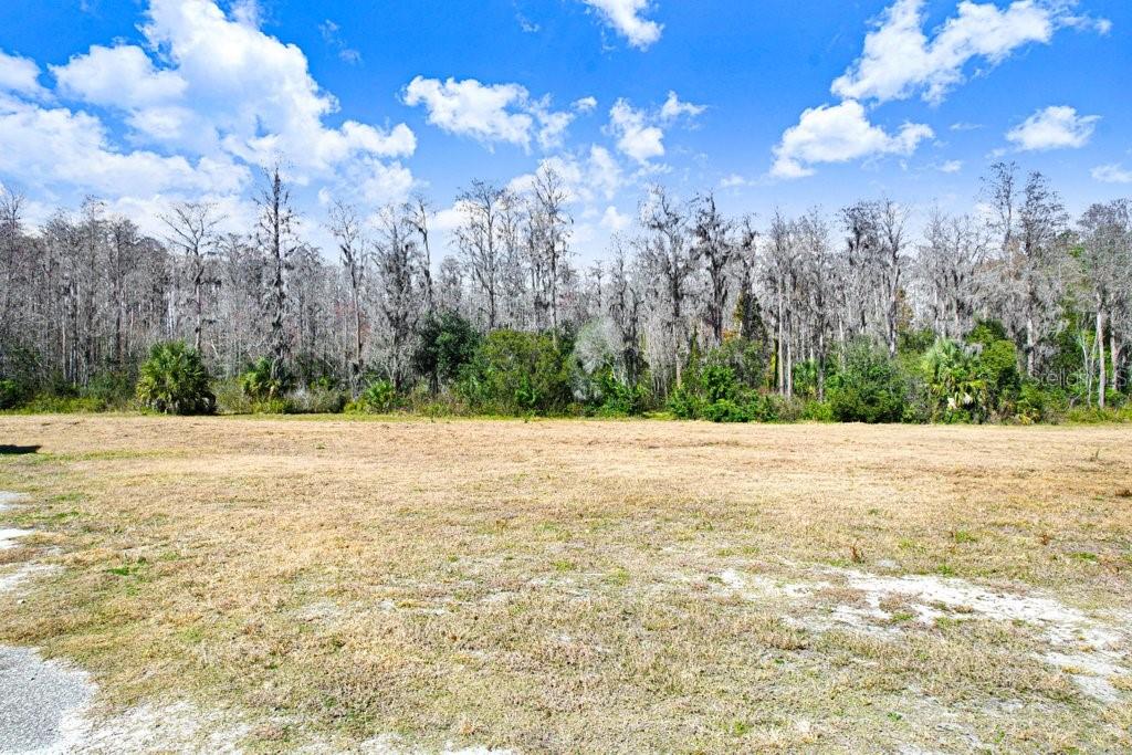 TOBACCO RD — photo 12