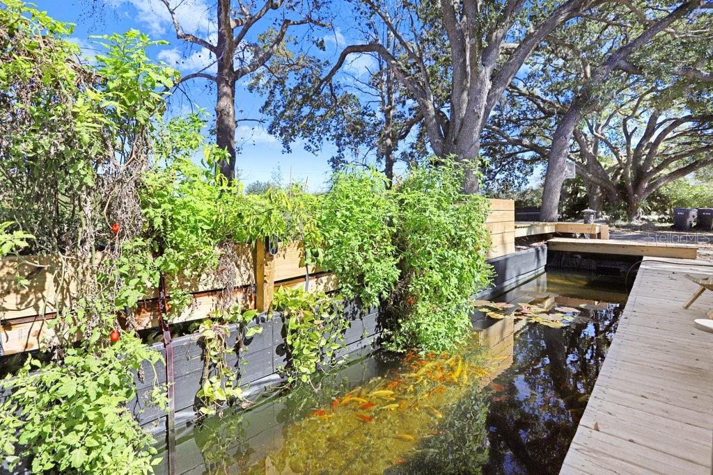 TOBACCO RD — photo 19