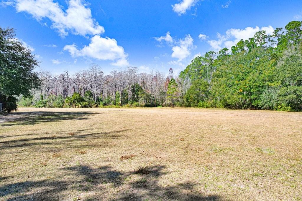 TOBACCO RD — photo 9