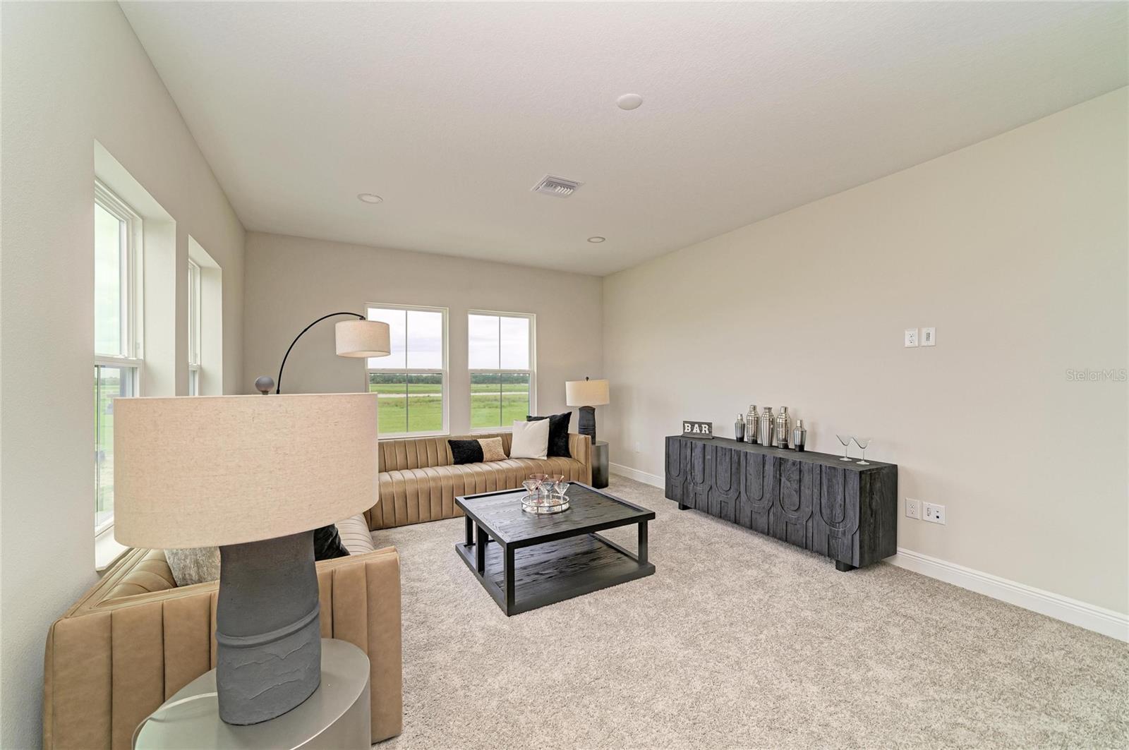 10858 SPRING SAPLING CIR — photo 35