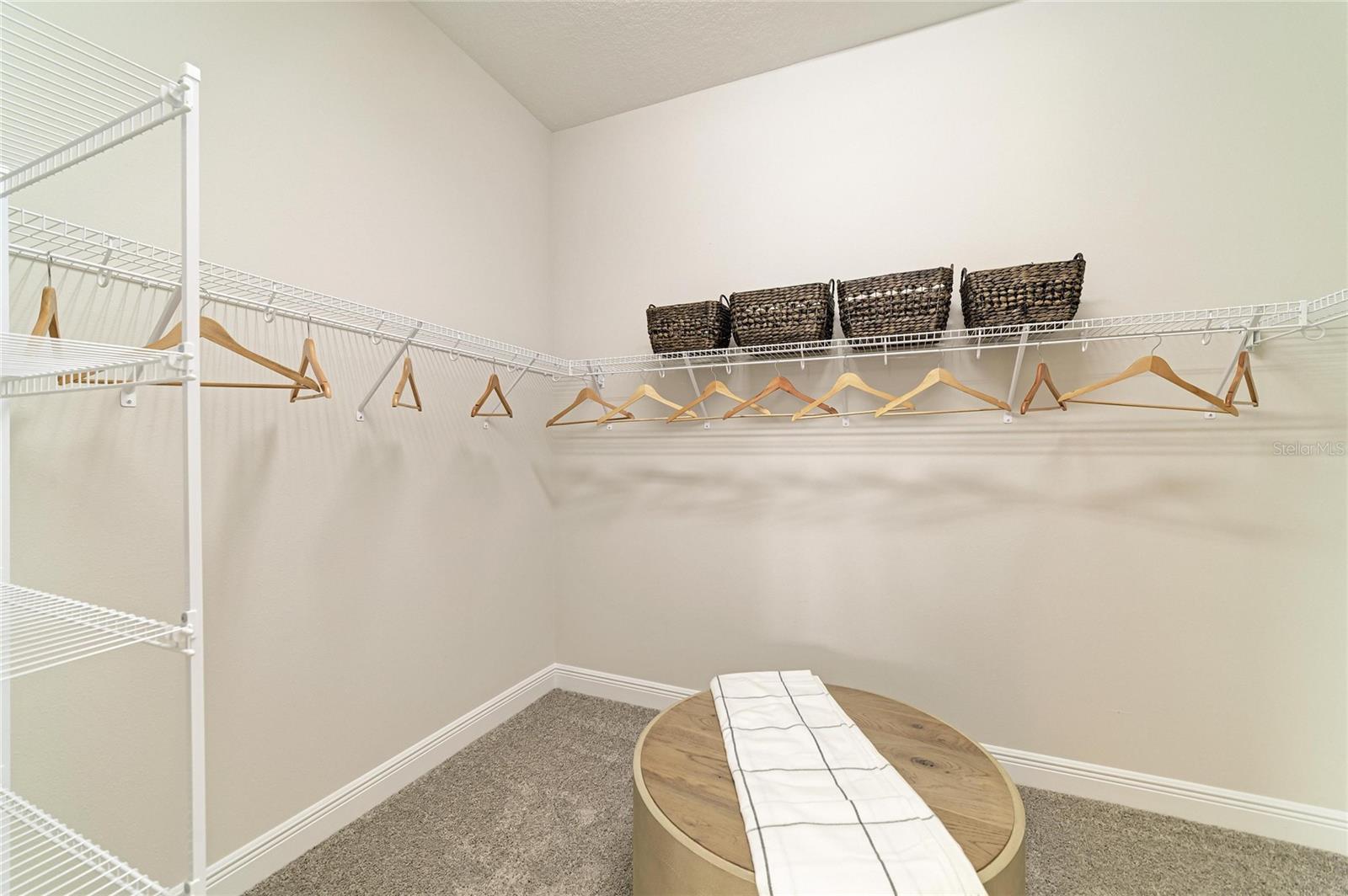 10858 SPRING SAPLING CIR — photo 10