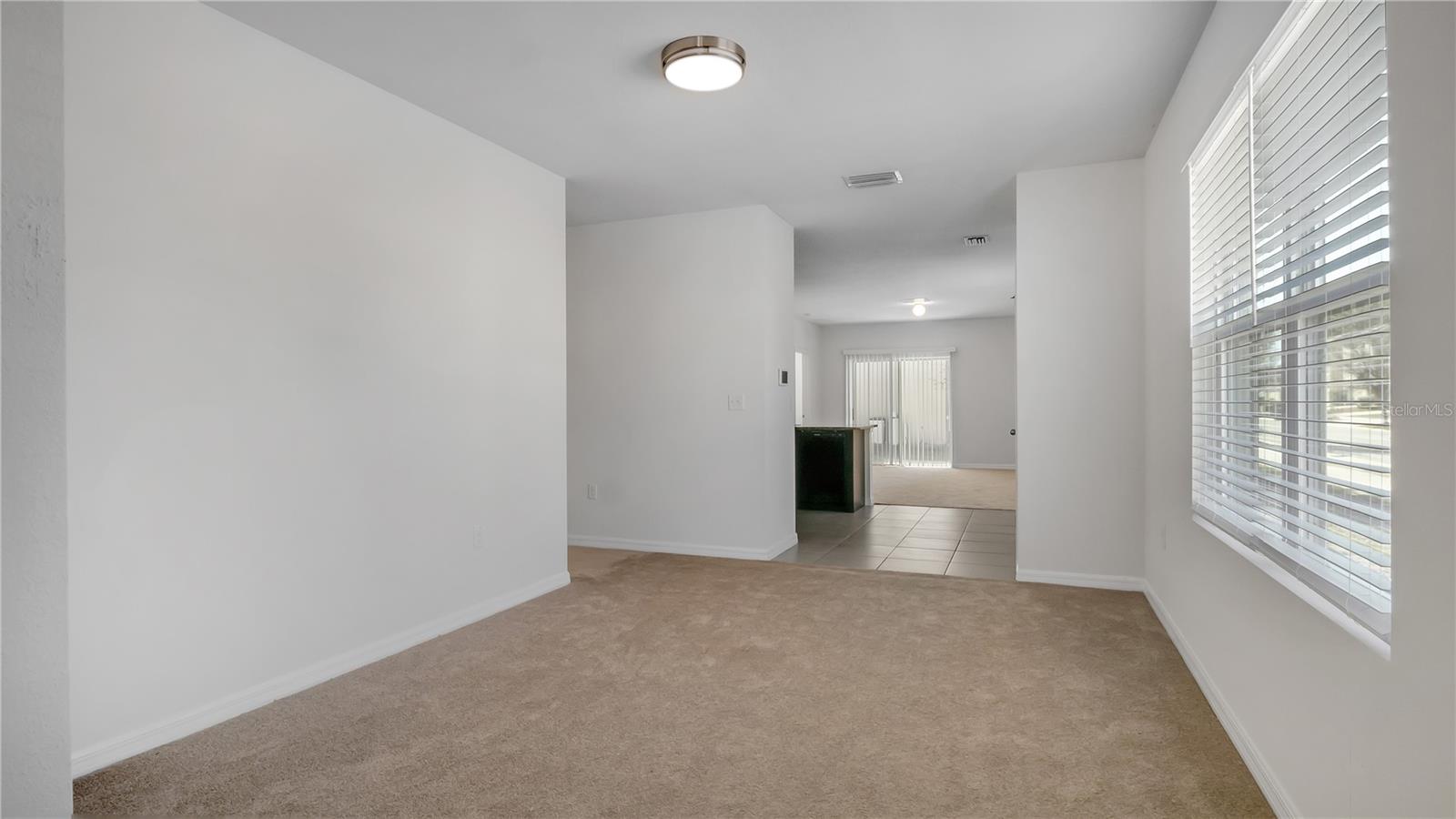 3503 DIAMOND LEAF CT — photo 5