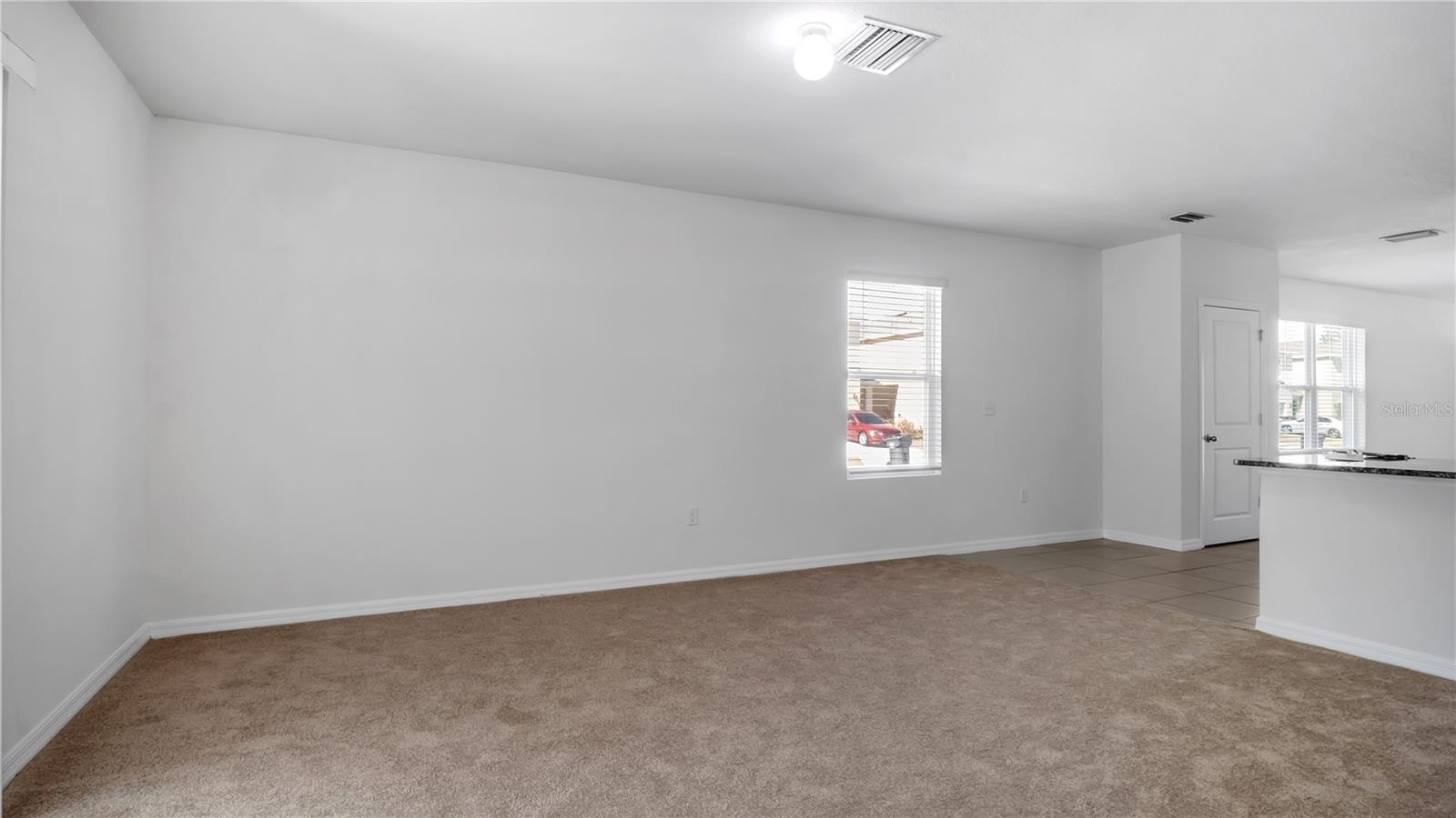 3503 DIAMOND LEAF CT — photo 13