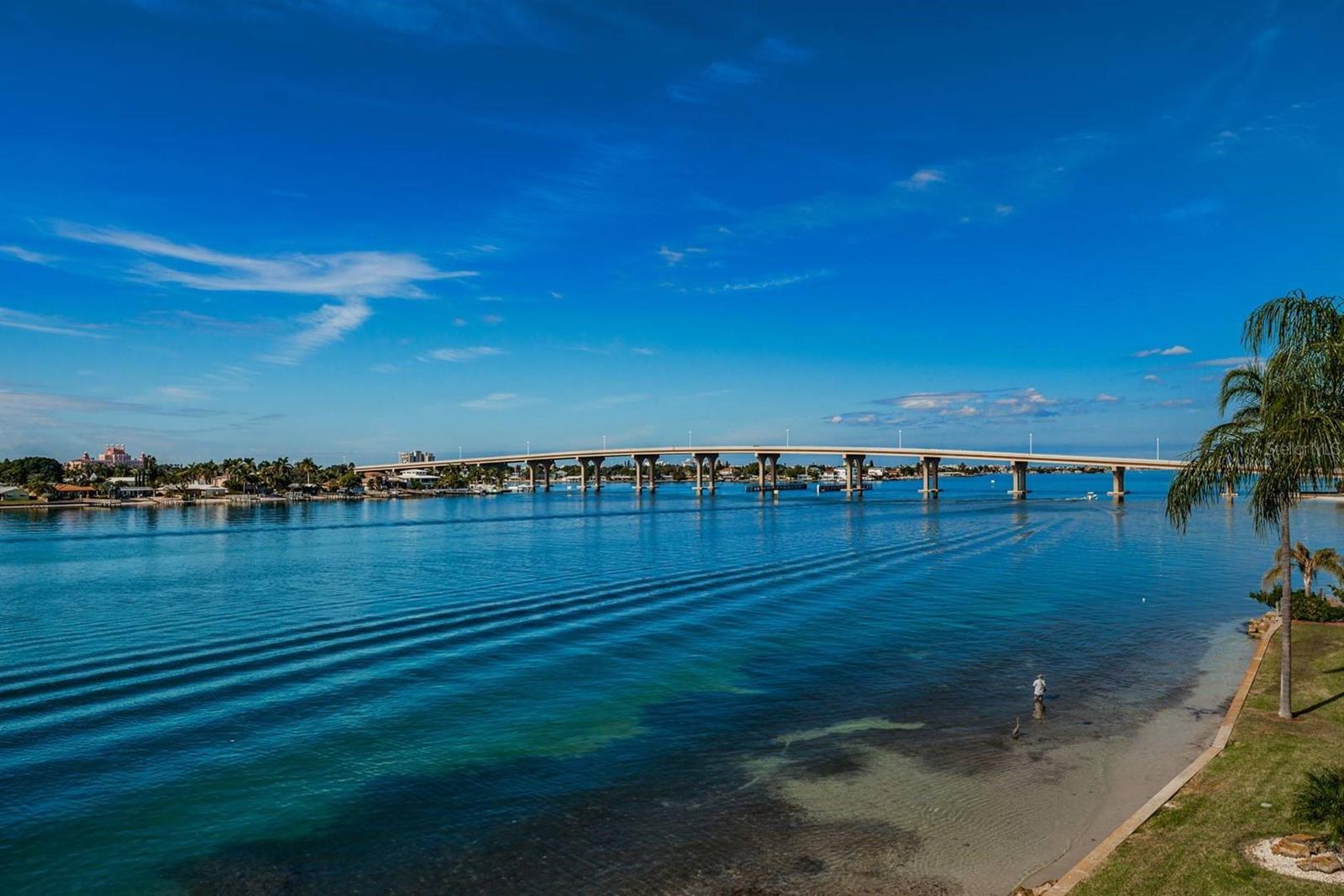 6083 BAHIA DEL MAR CIR #460 — photo 19