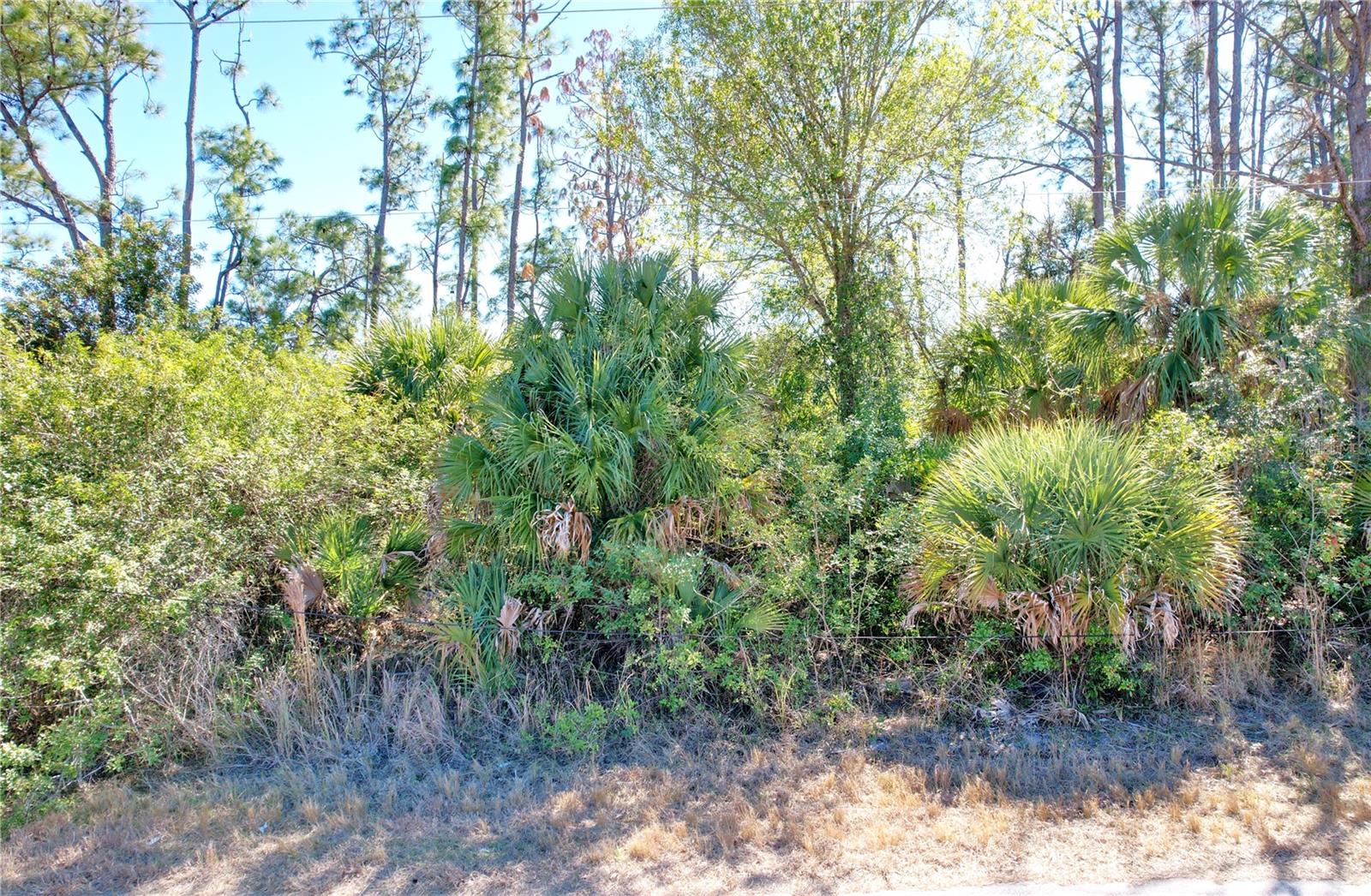 SEDBERRY AVE — photo 4