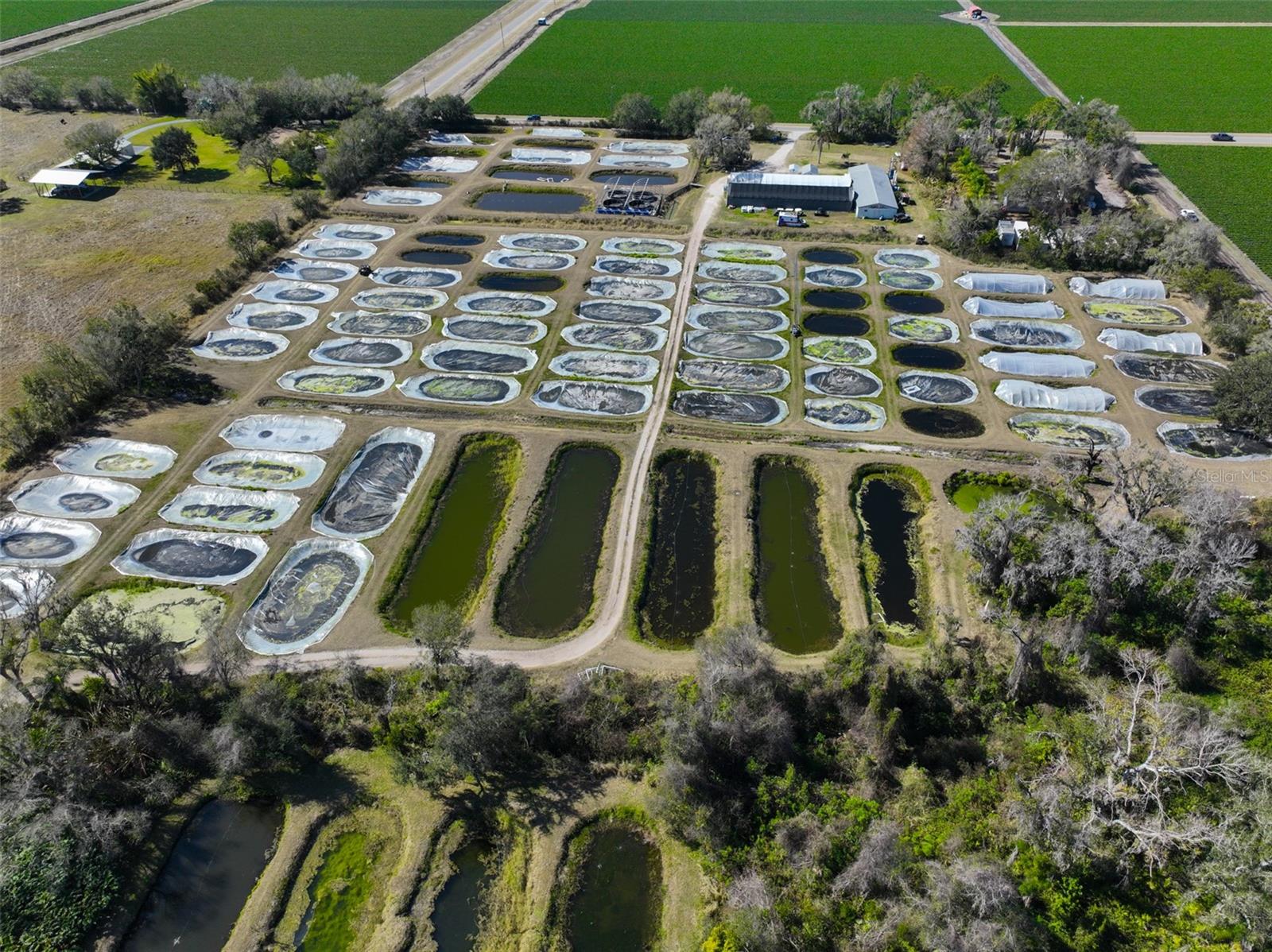 20112 HOBBS RD — photo 59