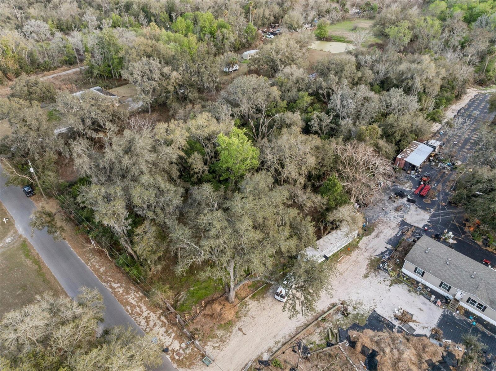 11119 BESSIE DIX RD — photo 11