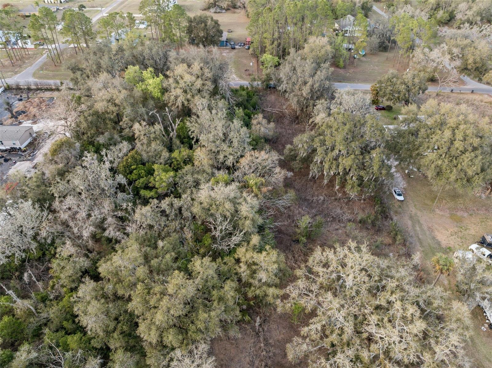 11119 BESSIE DIX RD — photo 9