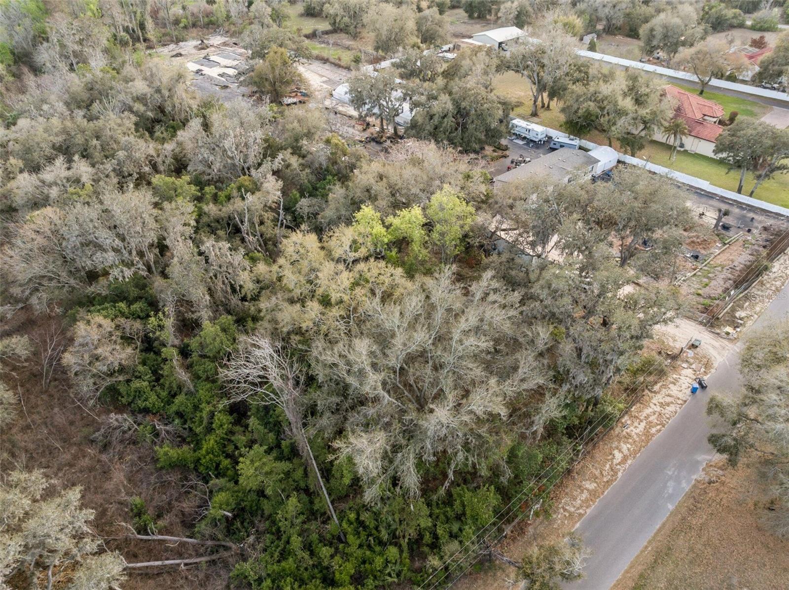 11119 BESSIE DIX RD — photo 8