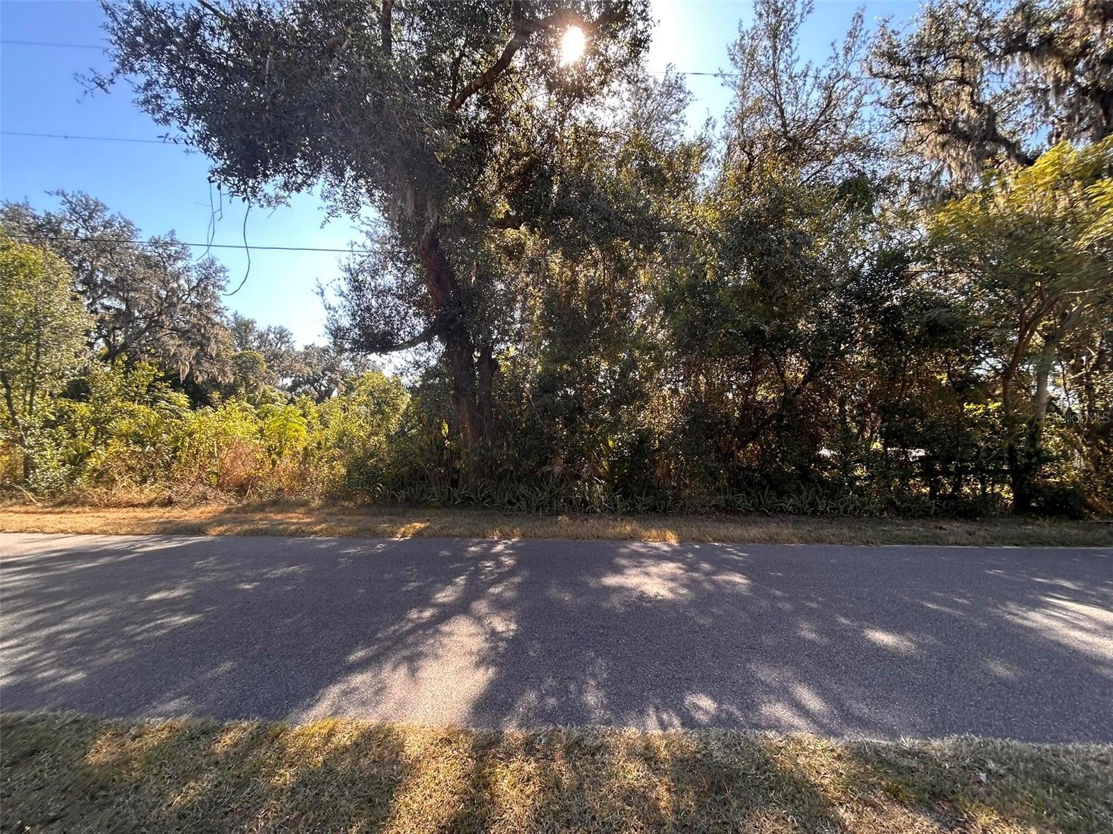 11119 BESSIE DIX RD — photo 12