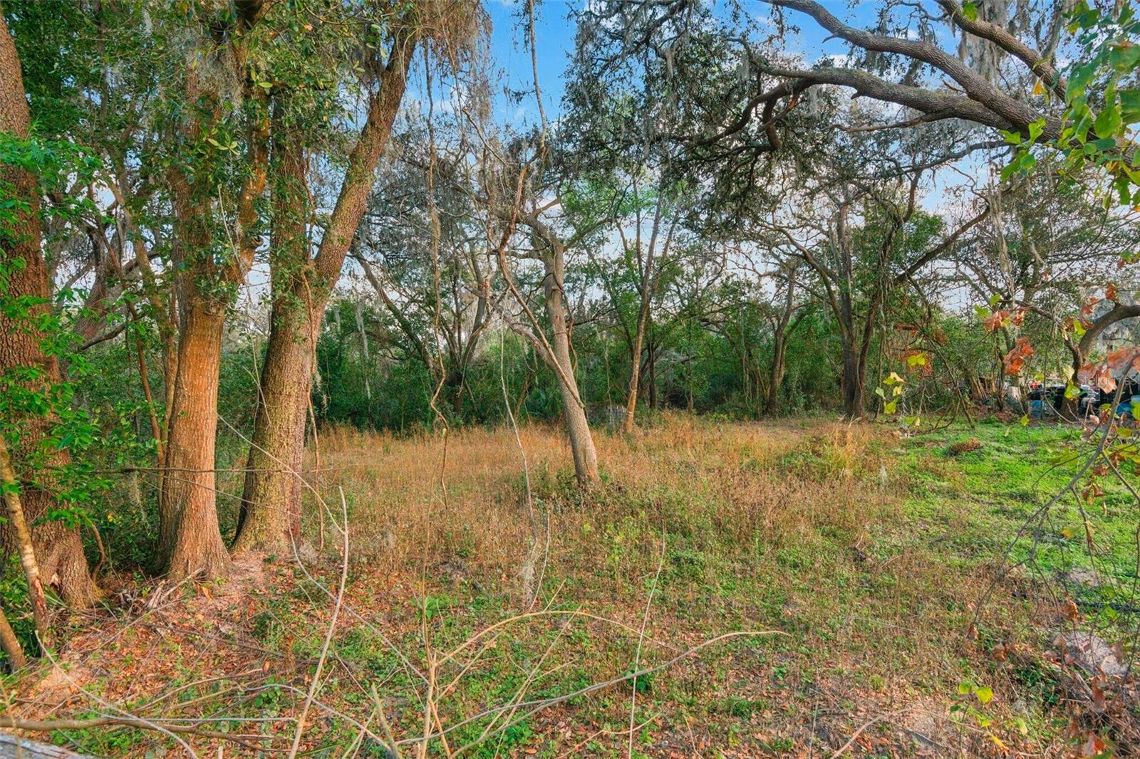 11119 BESSIE DIX RD — photo 7