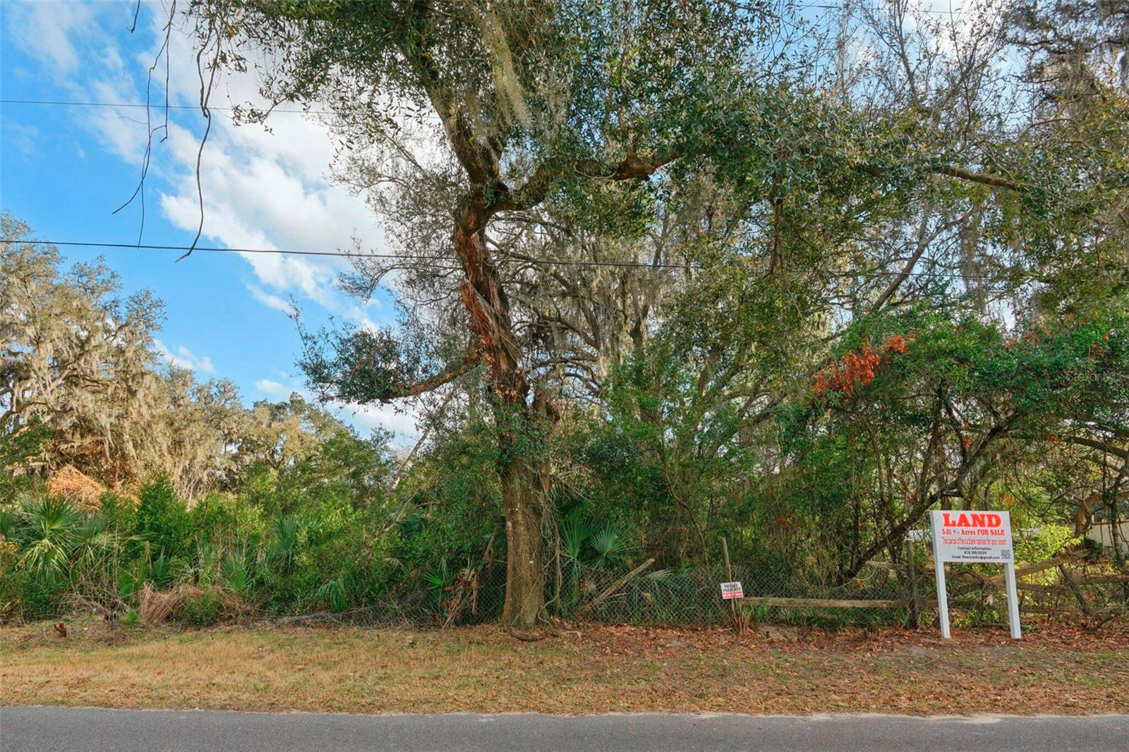 11119 BESSIE DIX RD — photo 3