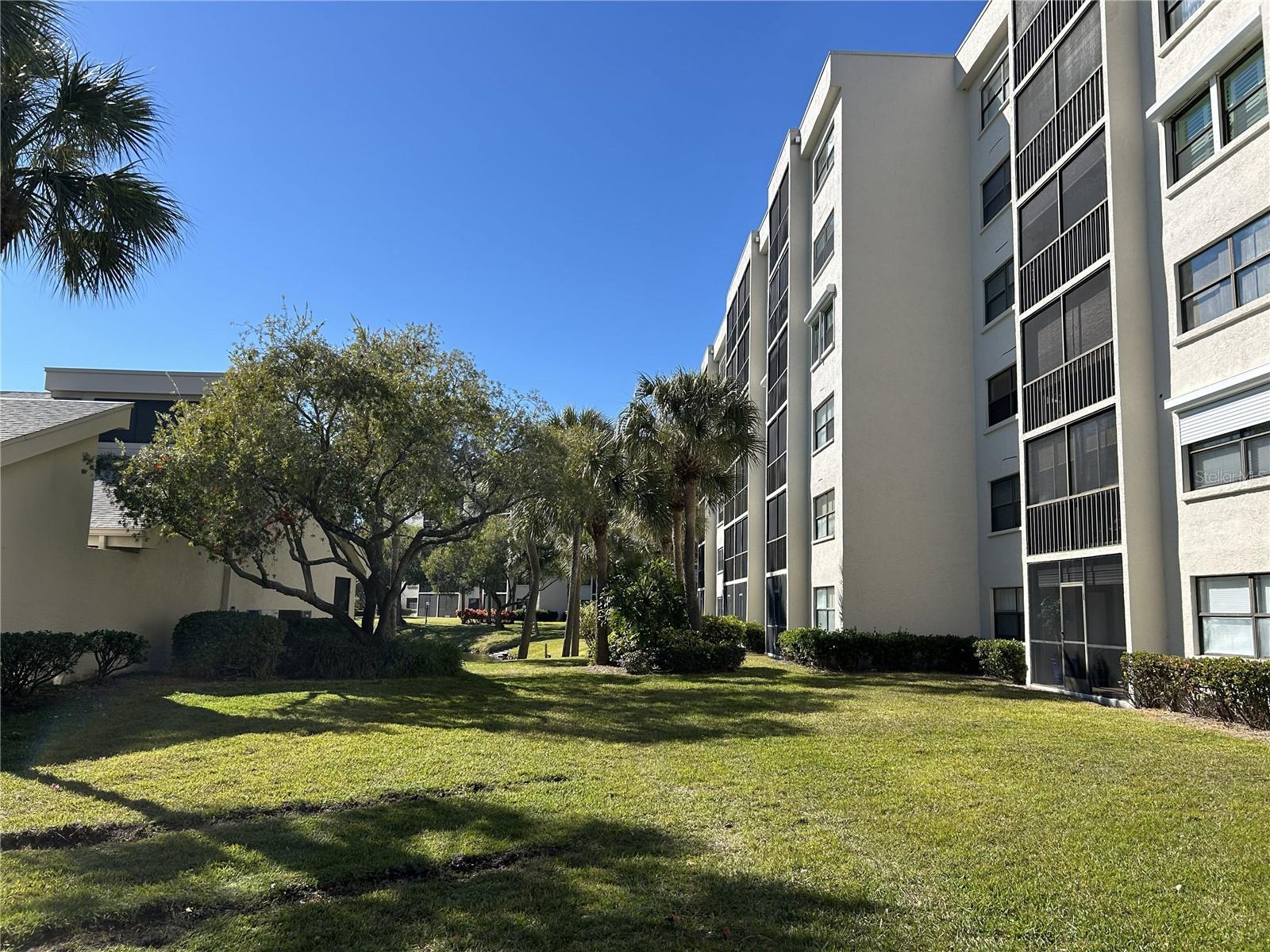 1316 PASADENA AVE S #202 — photo 39