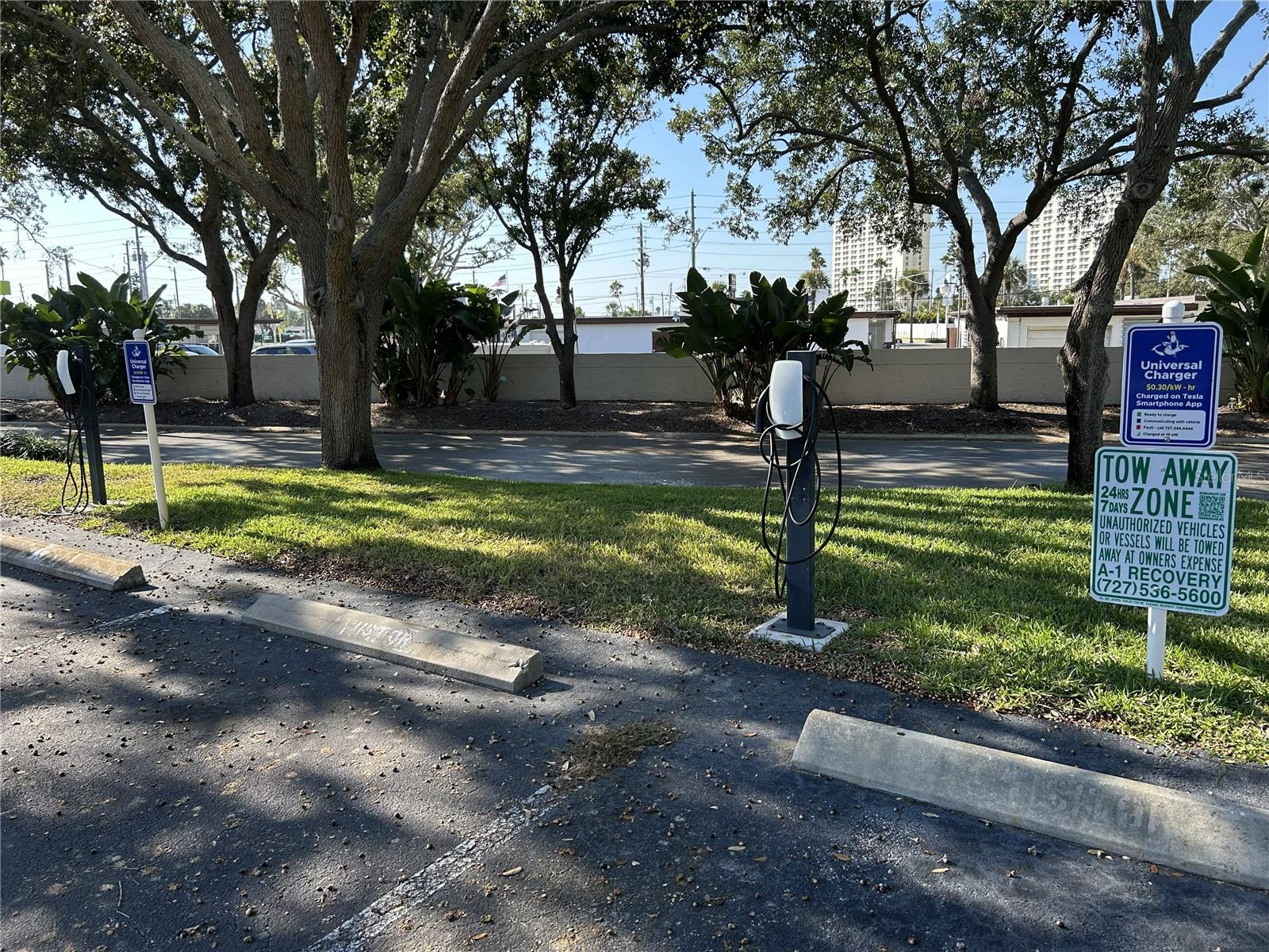 1316 PASADENA AVE S #202 — photo 45