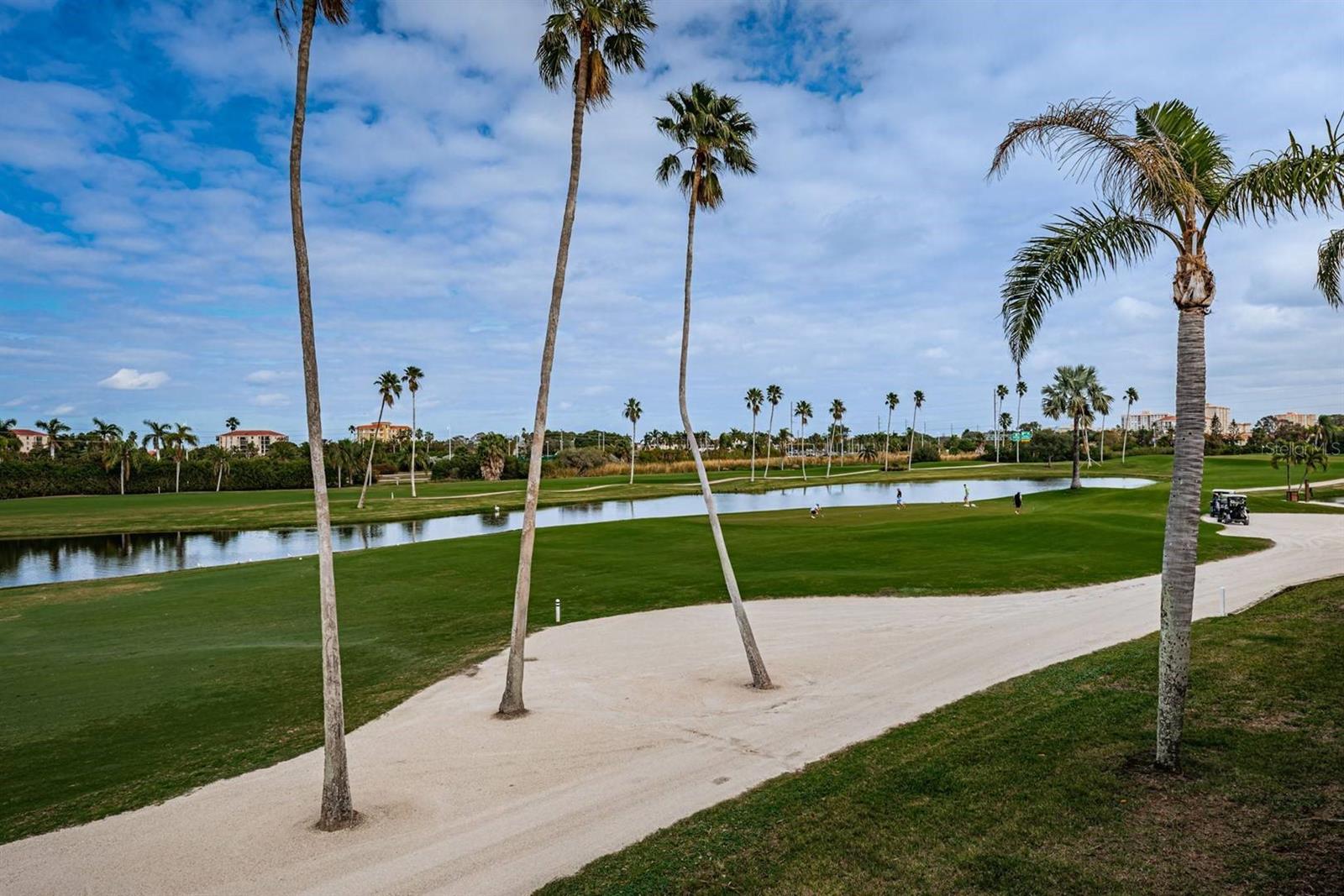 6141 BAHIA DEL MAR BLVD #229 — photo 23