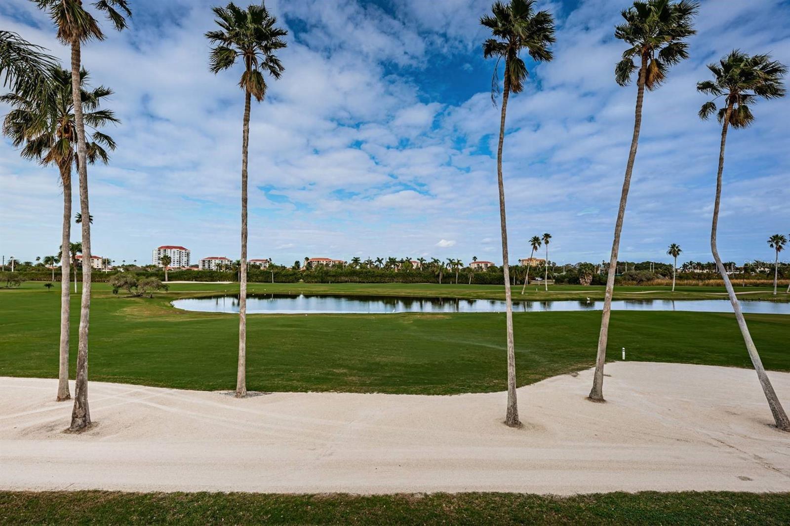 6141 BAHIA DEL MAR BLVD #229 — photo 3
