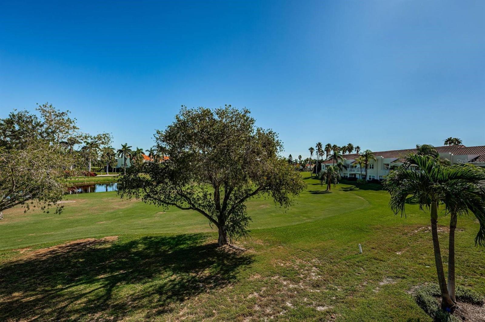 6000 BAHIA DEL MAR CIR #229 — photo 16