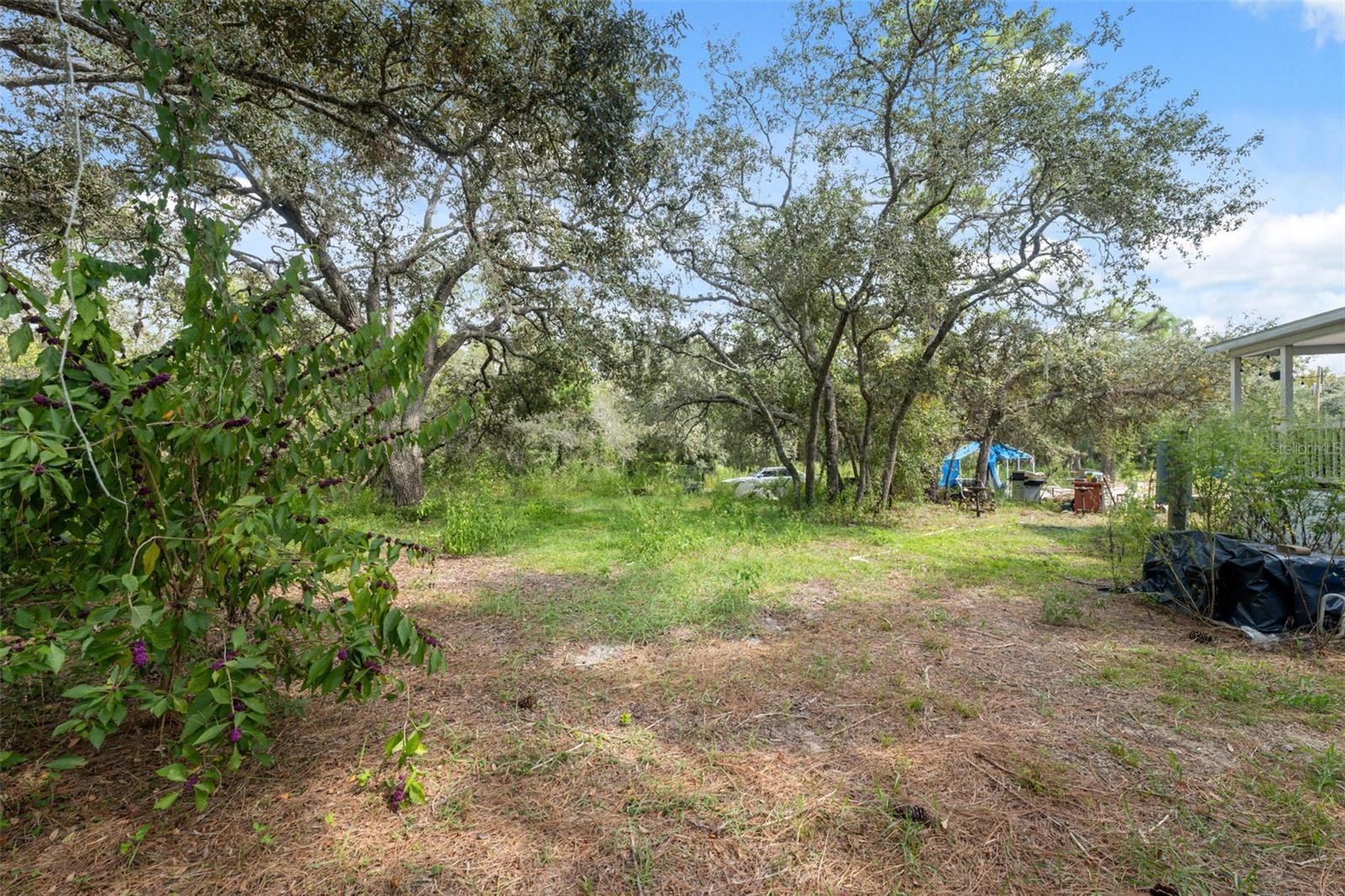 17221 NICKS DR — photo 21