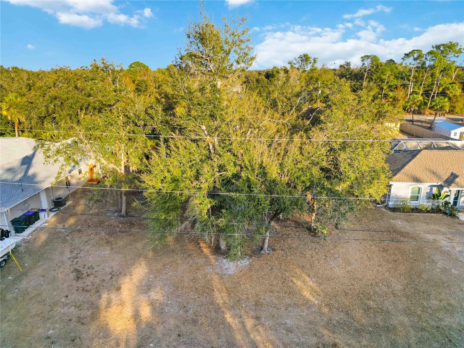 Lot 26 HOLLAND ST — photo 6
