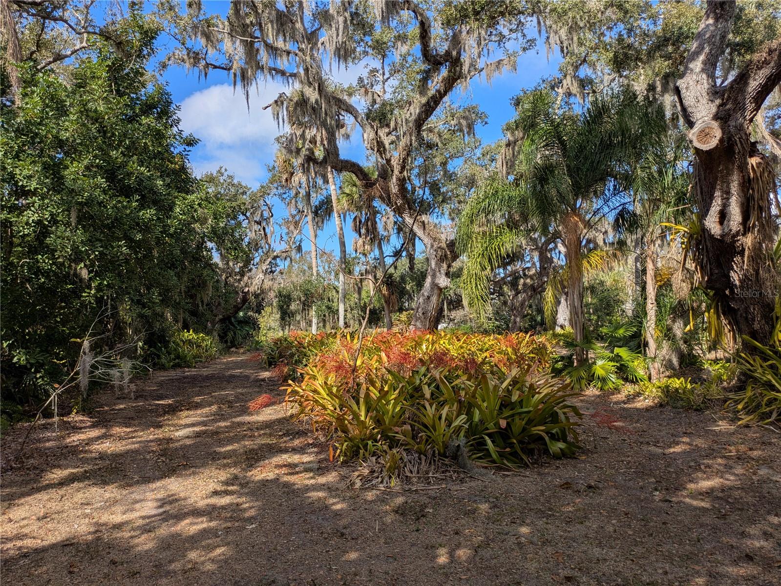 4554 COOPER RD — photo 39