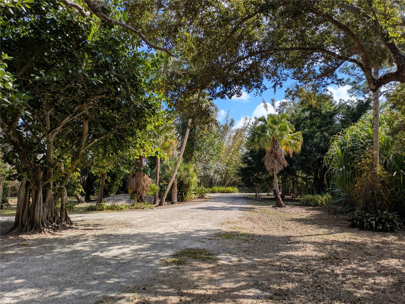 4554 COOPER RD — photo 41
