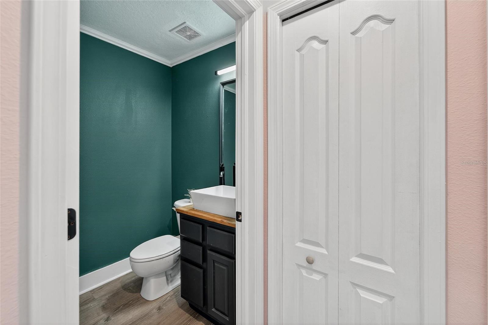 2502 BONTERRA BLVD — photo 58