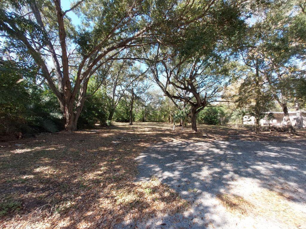 11400 US HIGHWAY 19 N — photo 10