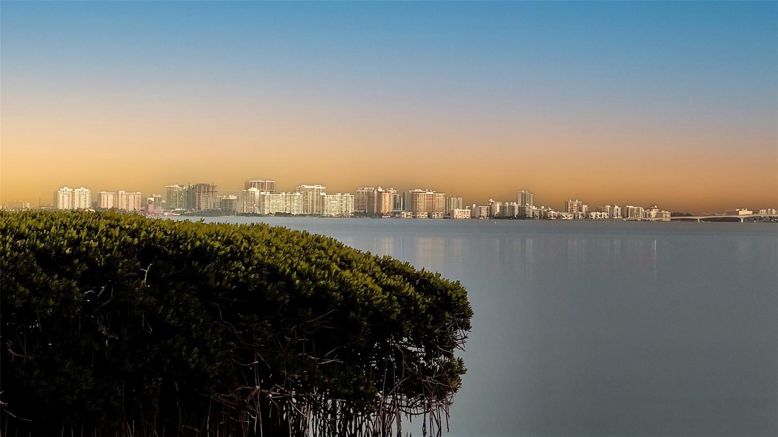 2450 HARBOURSIDE DR #234 — photo 31