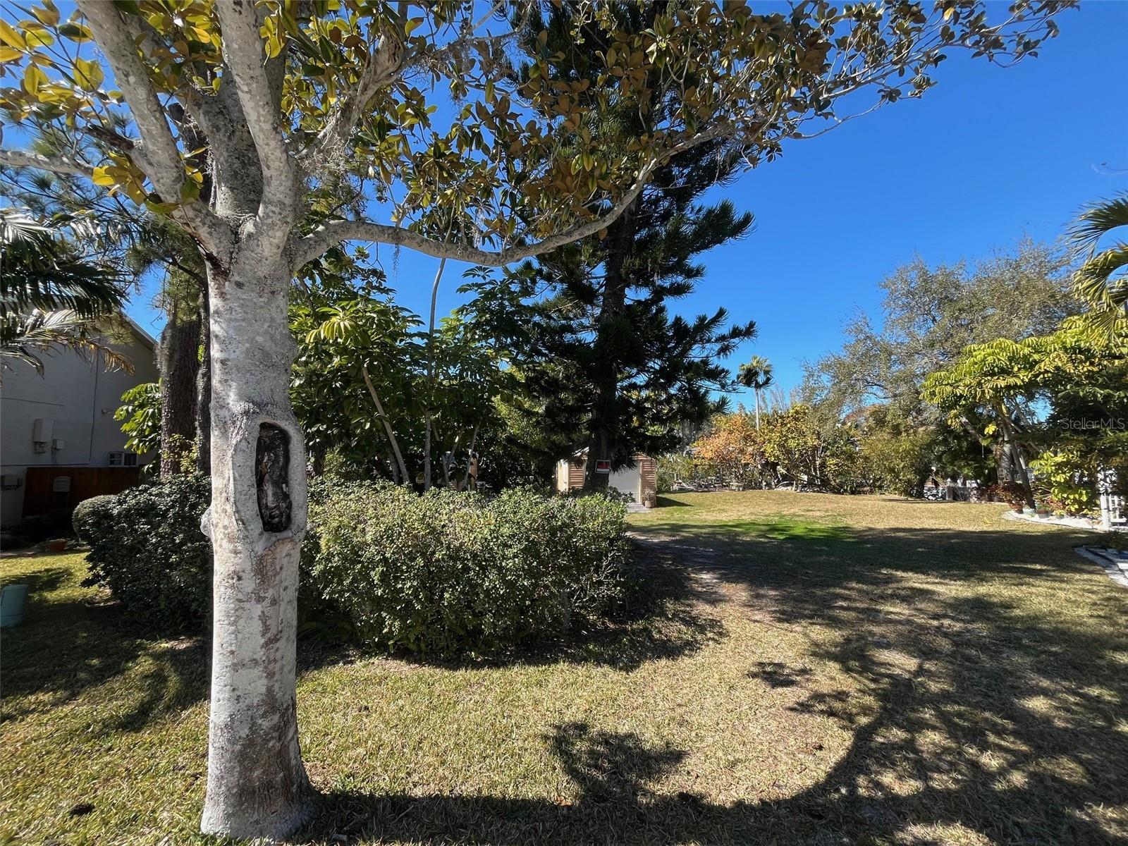 Lot 96 BLUE JAY CIR — photo 11