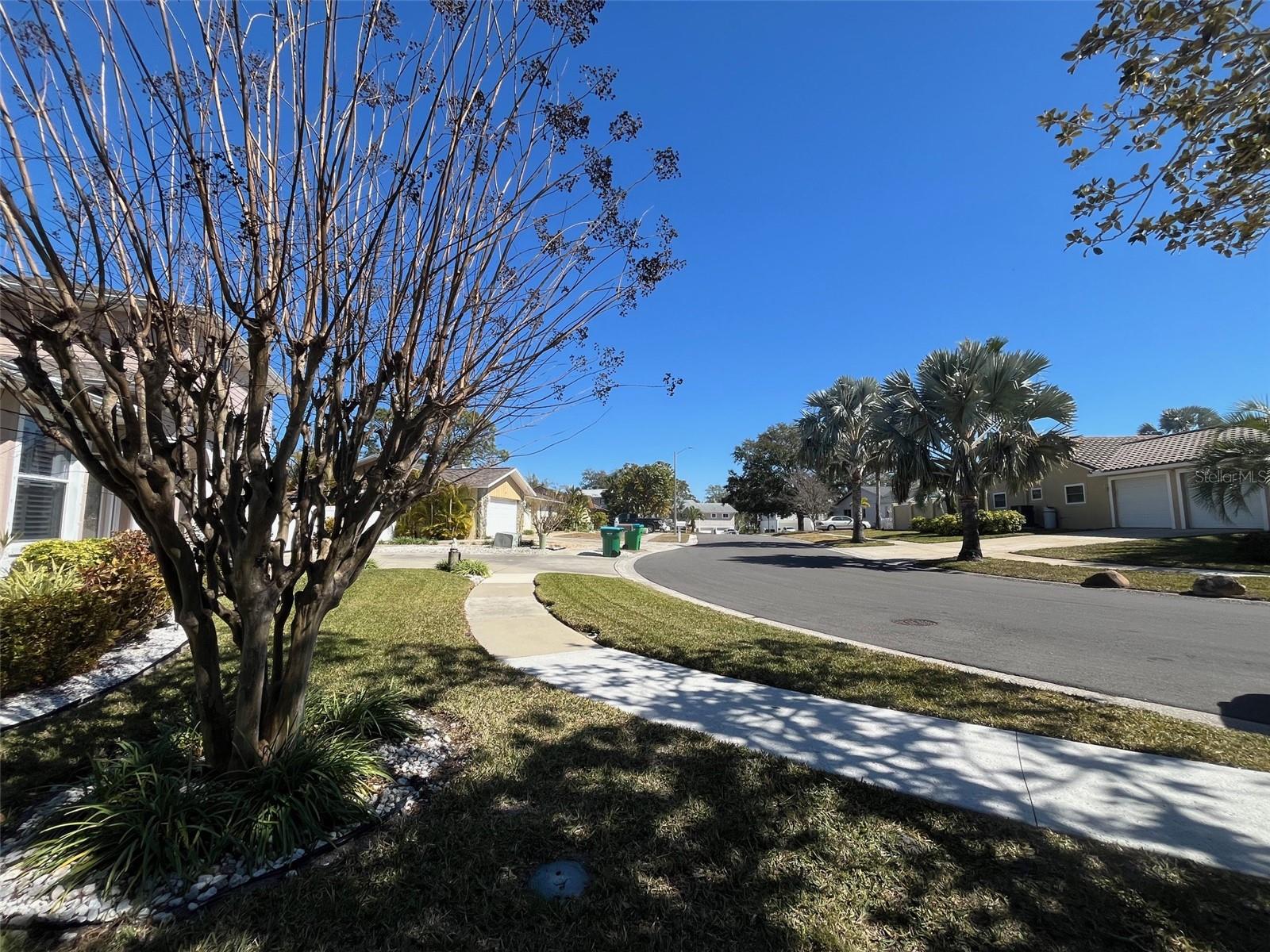 Lot 96 BLUE JAY CIR — photo 22