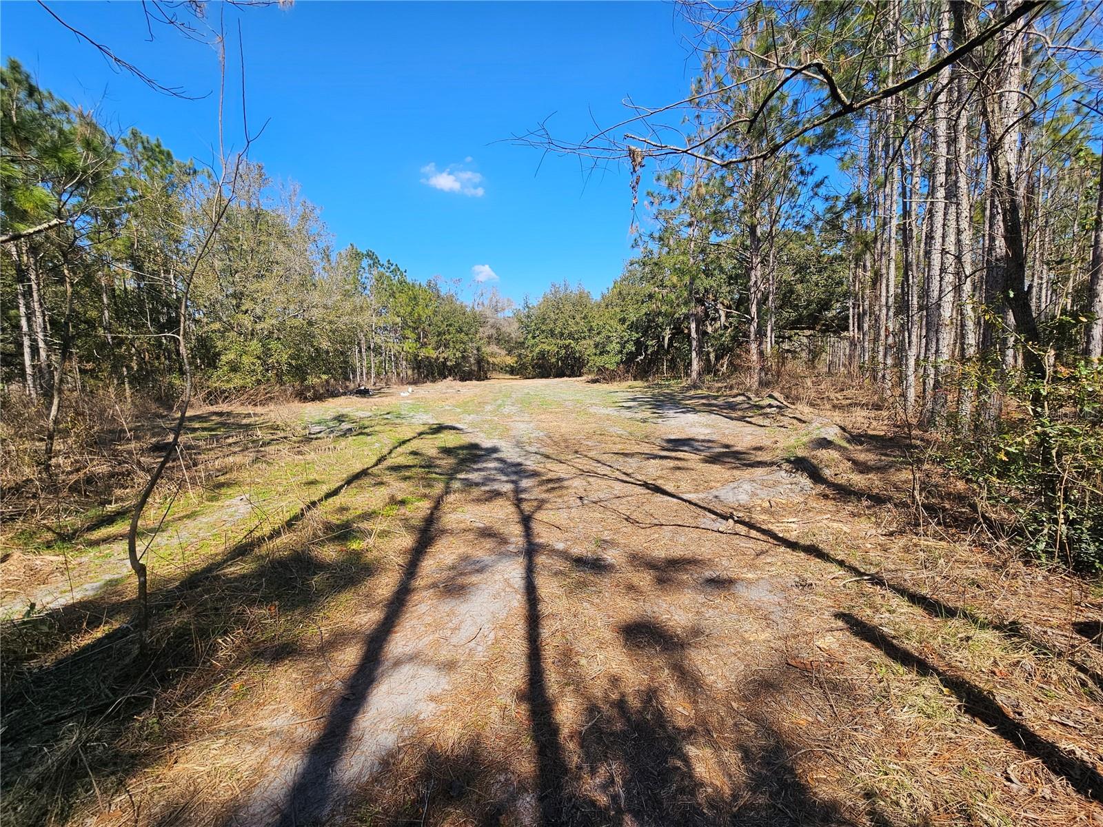 13308 DUCK LAKE CANAL RD — photo 44