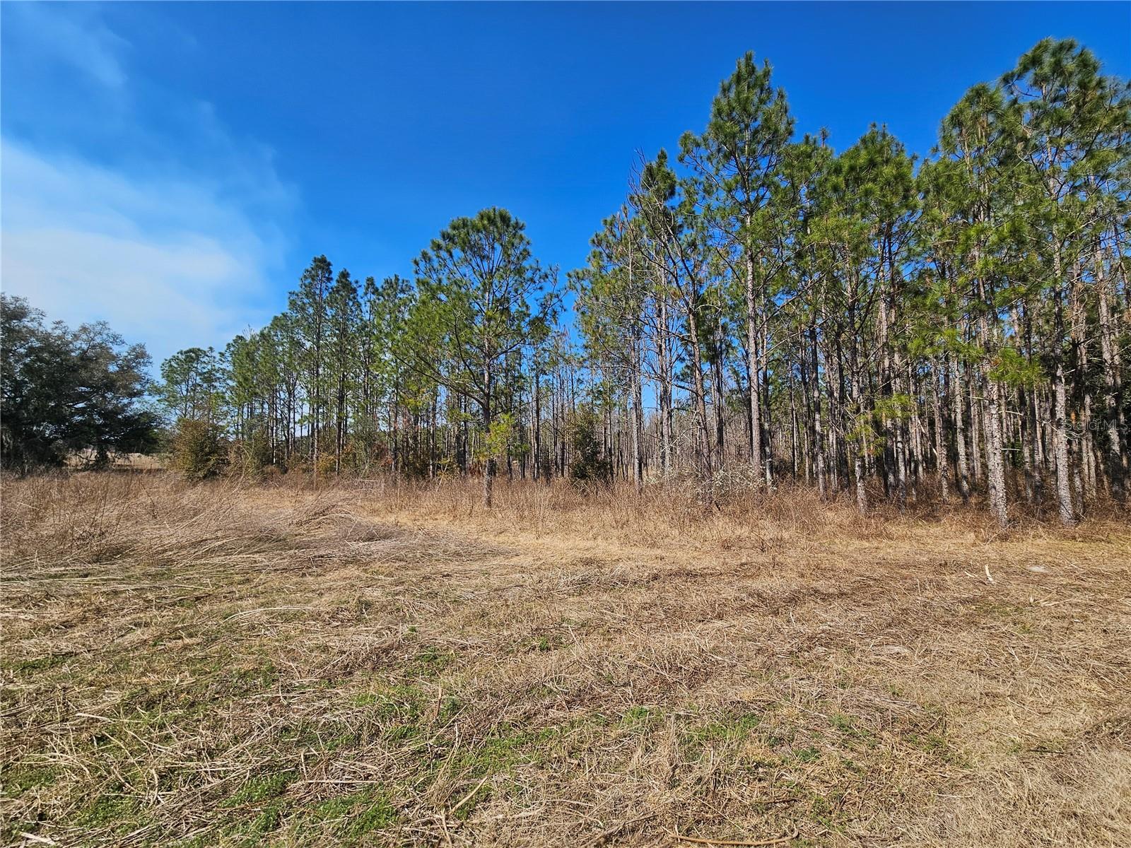 13308 DUCK LAKE CANAL RD — photo 43