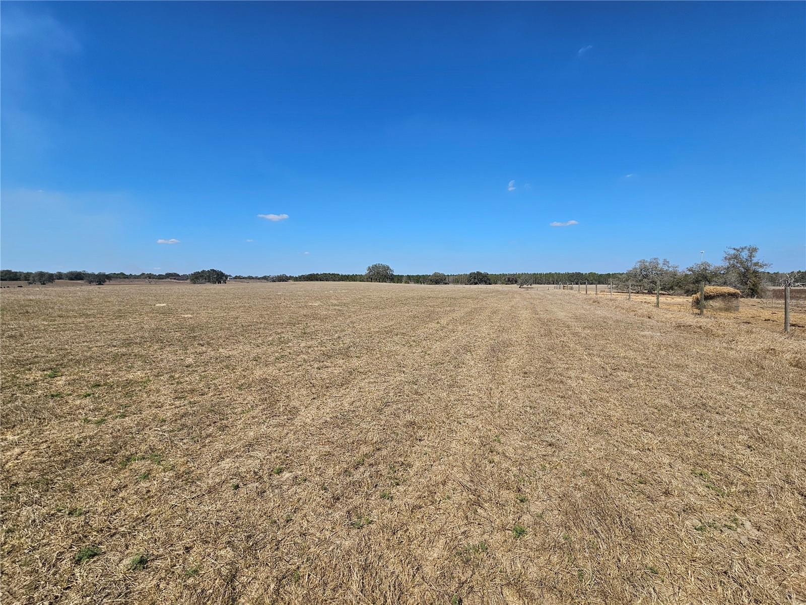 13308 DUCK LAKE CANAL RD — photo 51
