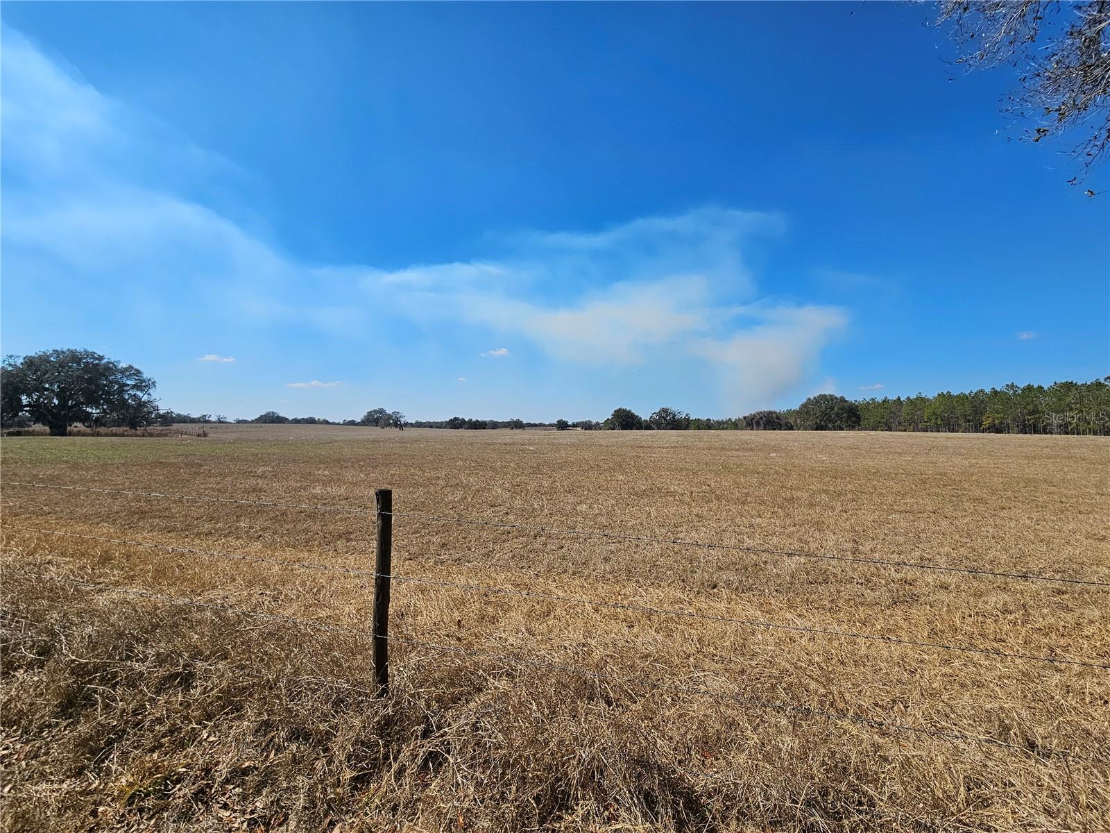 13308 DUCK LAKE CANAL RD — photo 41