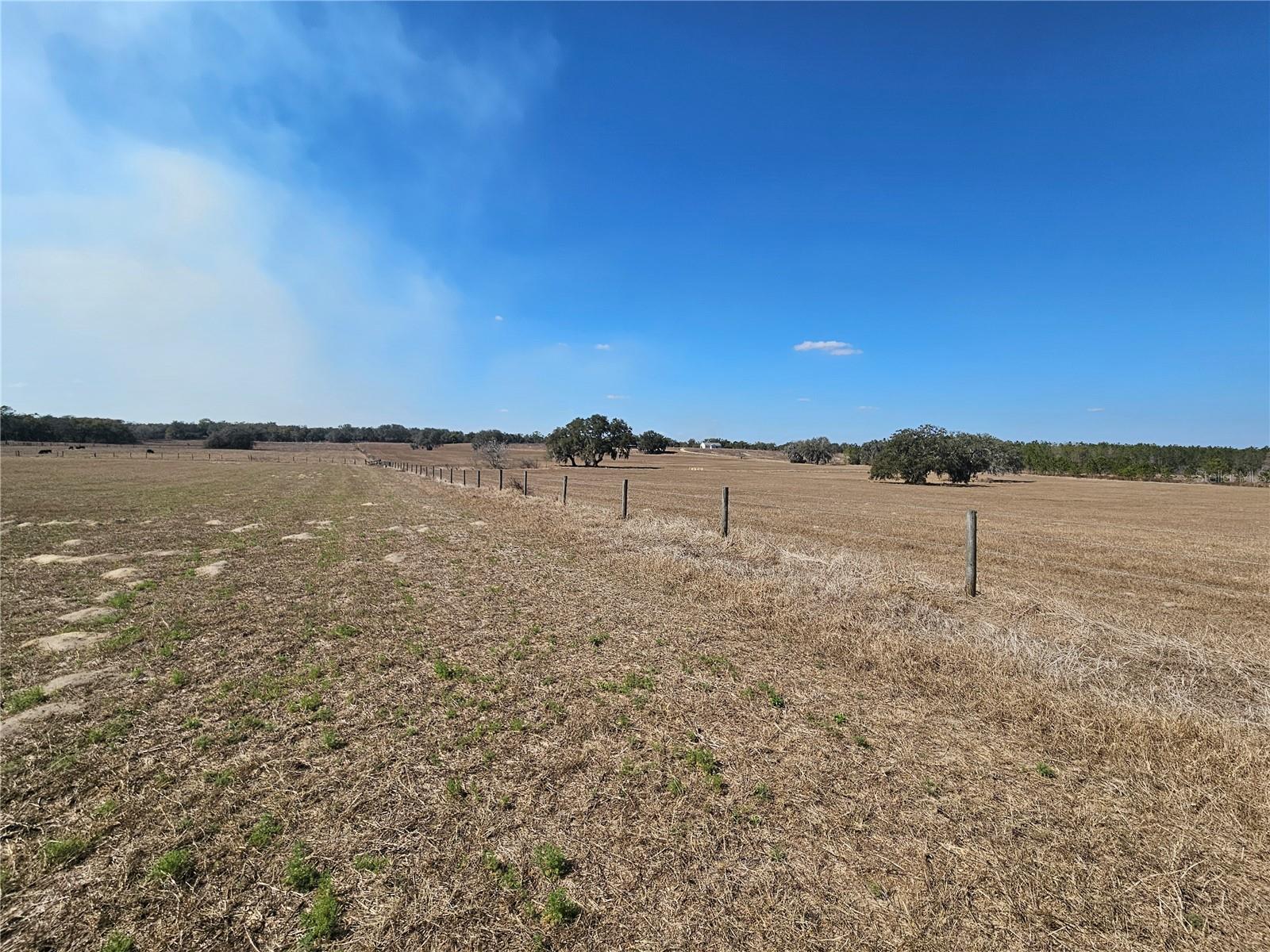 13308 DUCK LAKE CANAL RD — photo 52