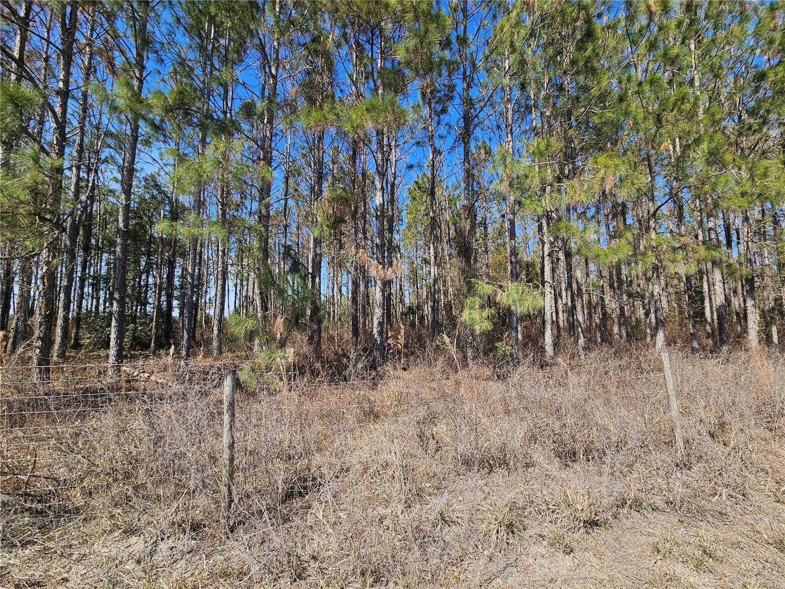13308 DUCK LAKE CANAL RD — photo 38