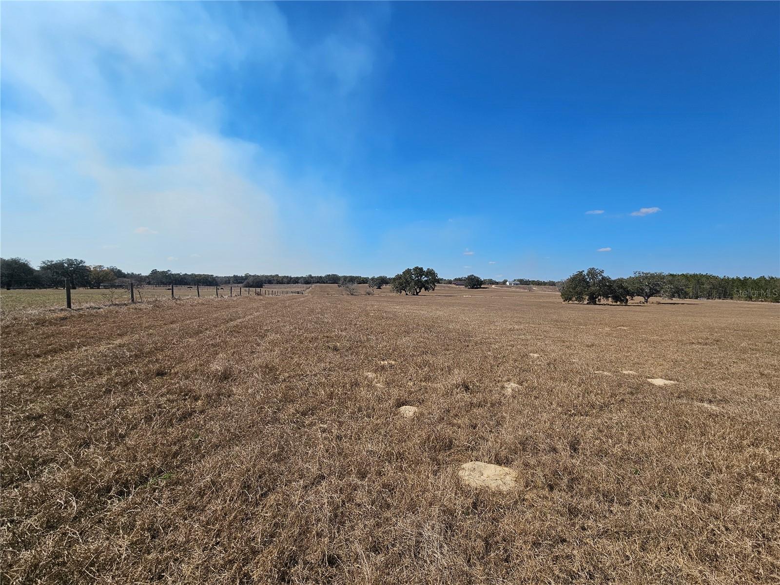 13308 DUCK LAKE CANAL RD — photo 56