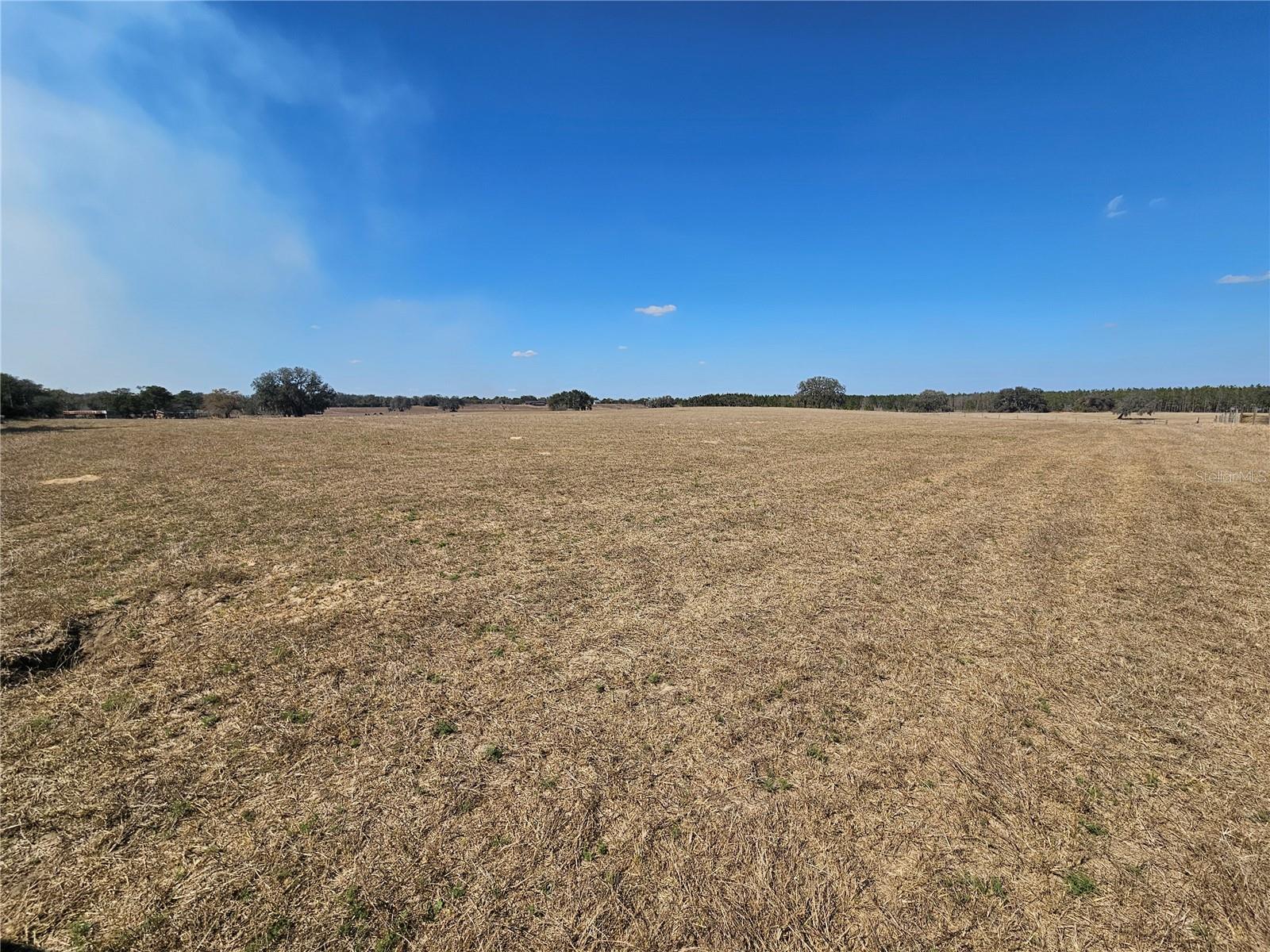13308 DUCK LAKE CANAL RD — photo 50