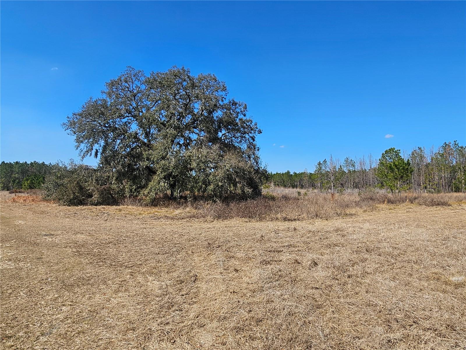 13308 DUCK LAKE CANAL RD — photo 59