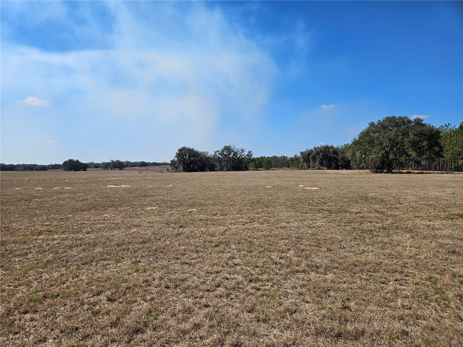 13308 DUCK LAKE CANAL RD — photo 45