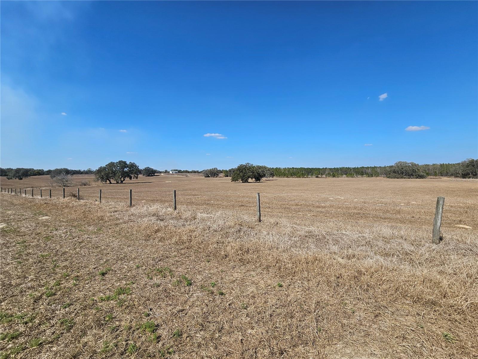 13308 DUCK LAKE CANAL RD — photo 53