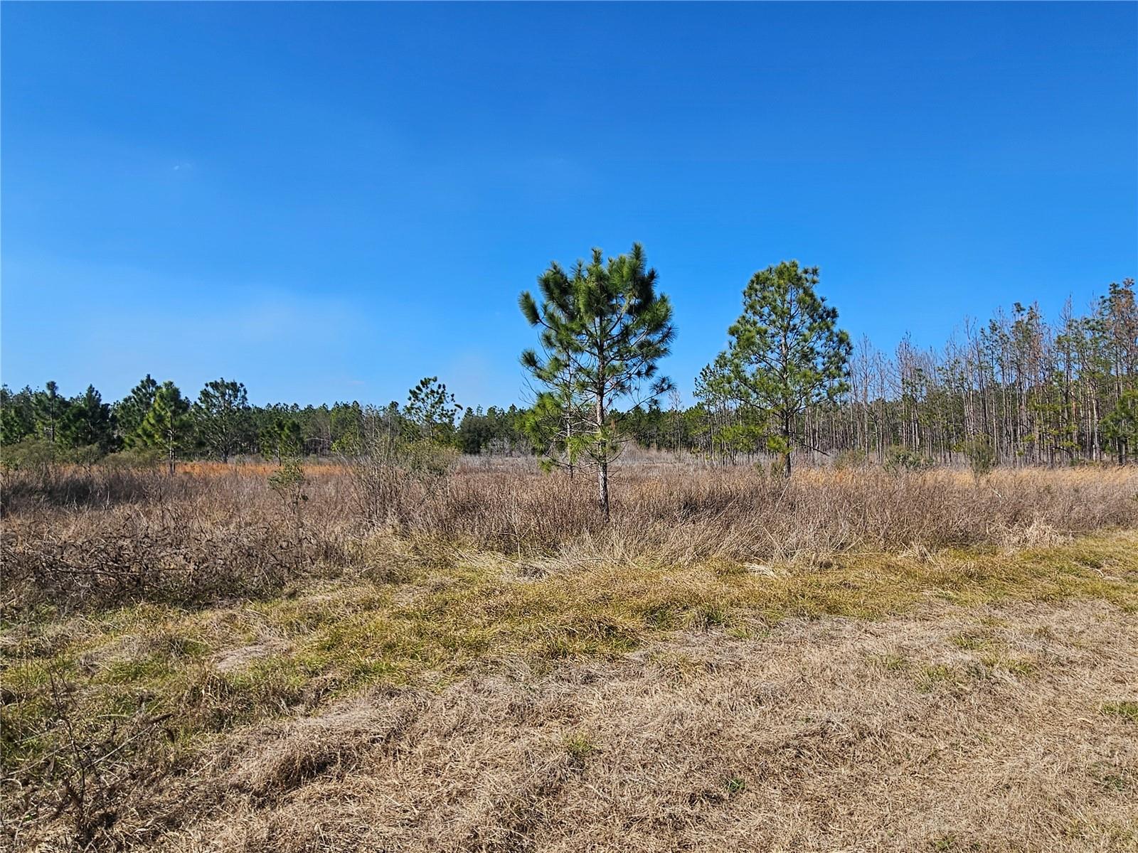 13308 DUCK LAKE CANAL RD — photo 60