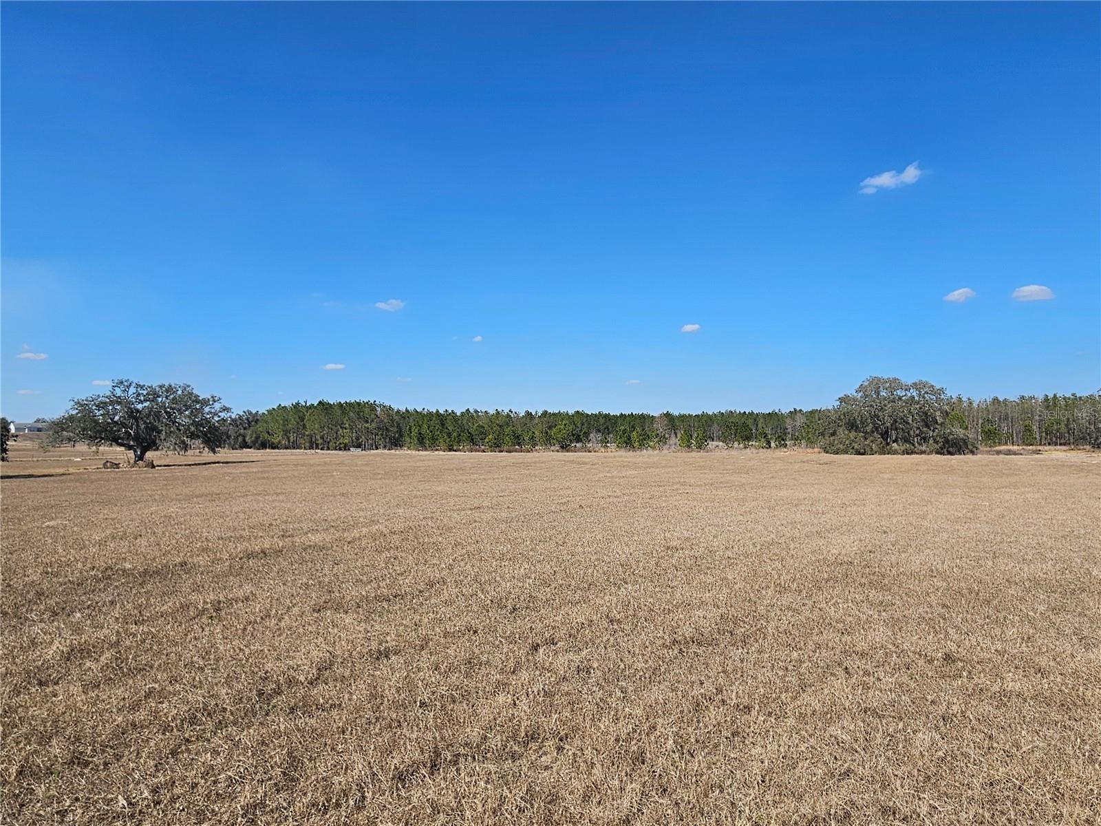 13308 DUCK LAKE CANAL RD — photo 58