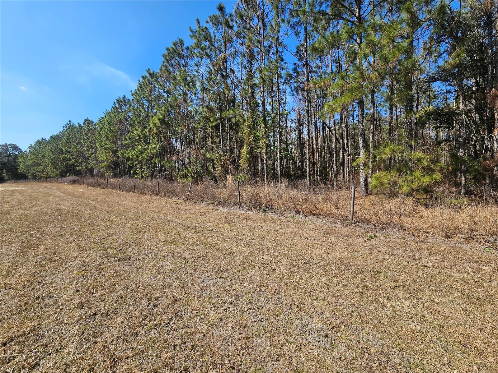 13308 DUCK LAKE CANAL RD — photo 39